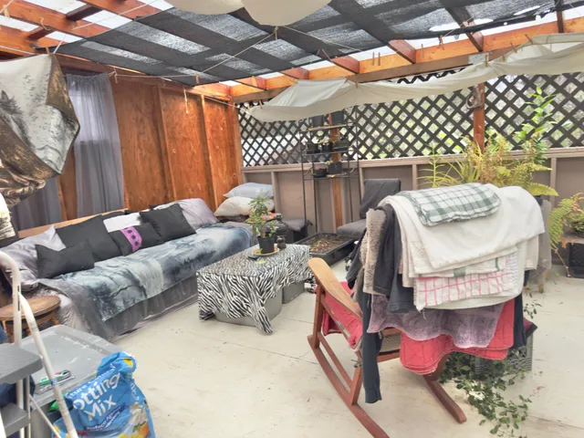 a view of a dry yard