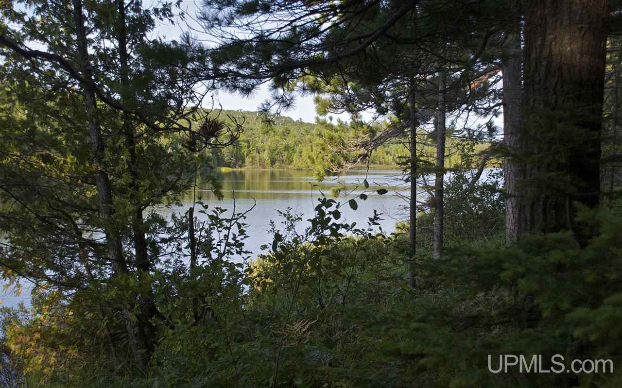 12282 Highway 26 Mohawk, MI 49950 - Photo 18 of 22