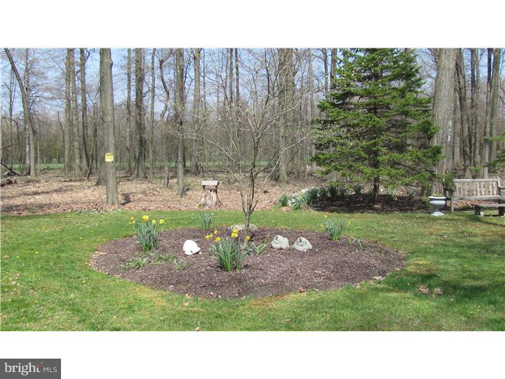142 Beck Road Quakertown, PA 18951 - Photo 17 of 24 Gallery Image 17