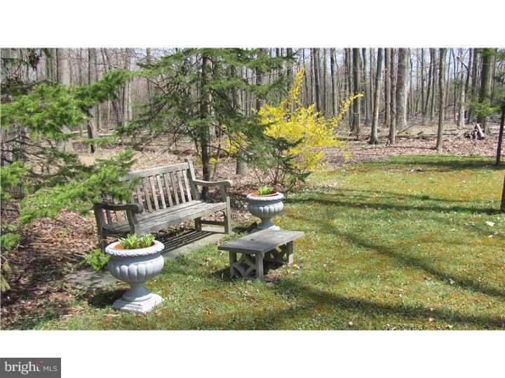 142 Beck Road Quakertown, PA 18951 - Photo 19 of 24 Gallery Image 19