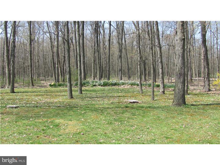 142 Beck Road Quakertown, PA 18951 - Photo 23 of 24 Gallery Image 23