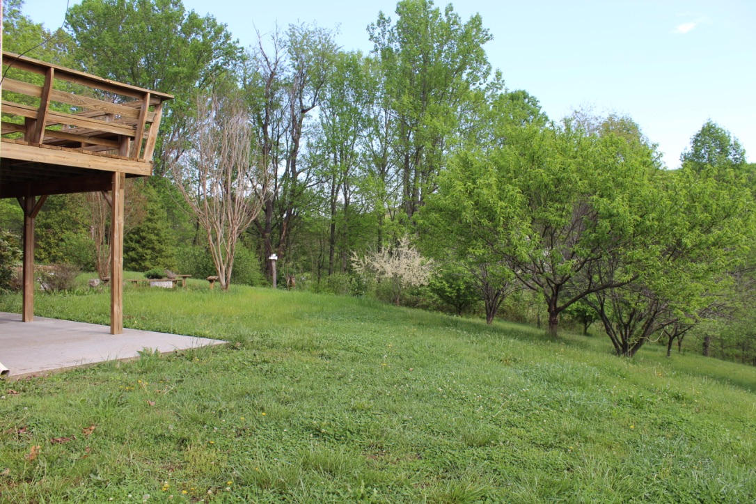 2965 Green Level Road Boones Mill, VA 24065 - Photo 50 of 83 Backyard