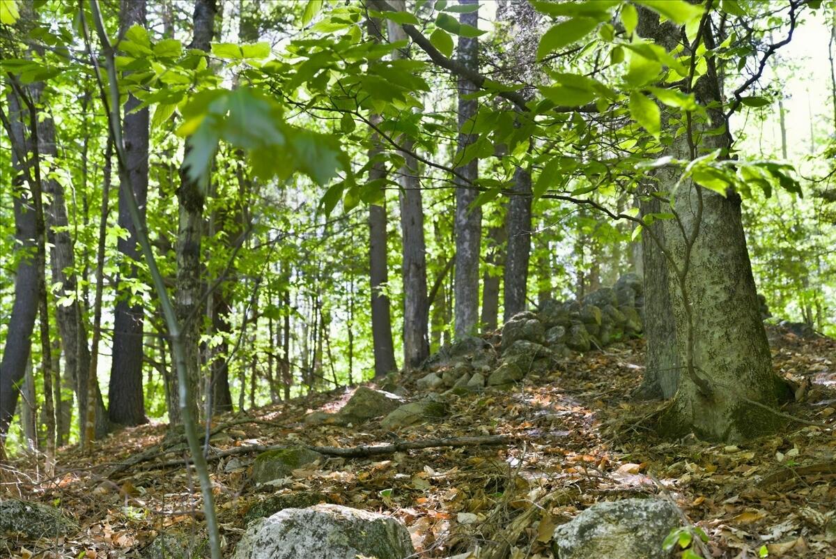 263 Number Six Road Oxford, ME 04270 - Photo 36 of 72 036-1_Landscape 18