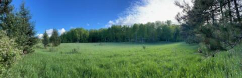 9632 Pouzar Road Thompsonville, MI 49683 - Photo 1 of 12 Gorgeous 15 ac near Traverse City