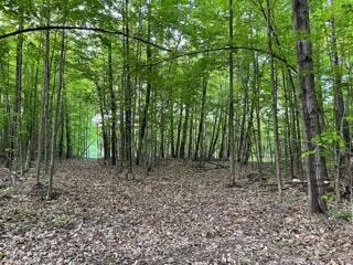 9632 Pouzar Road Thompsonville, MI 49683 - Photo 6 of 12 Gorgeous 15 ac near Traverse City