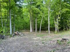 9632 Pouzar Road Thompsonville, MI 49683 - Photo 8 of 12 Gorgeous 15 ac near Traverse City