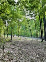 9632 Pouzar Road Thompsonville, MI 49683 - Photo 9 of 12 Gorgeous 15 ac near Traverse City