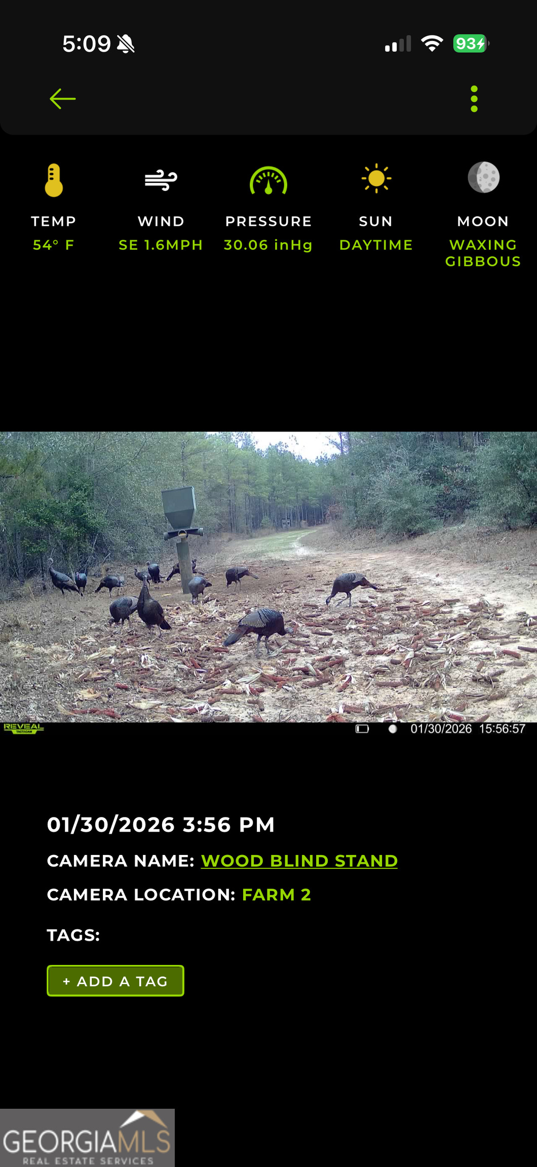 2729 Hadden Pond Road Avera, GA 30803 - Photo 12 of 68