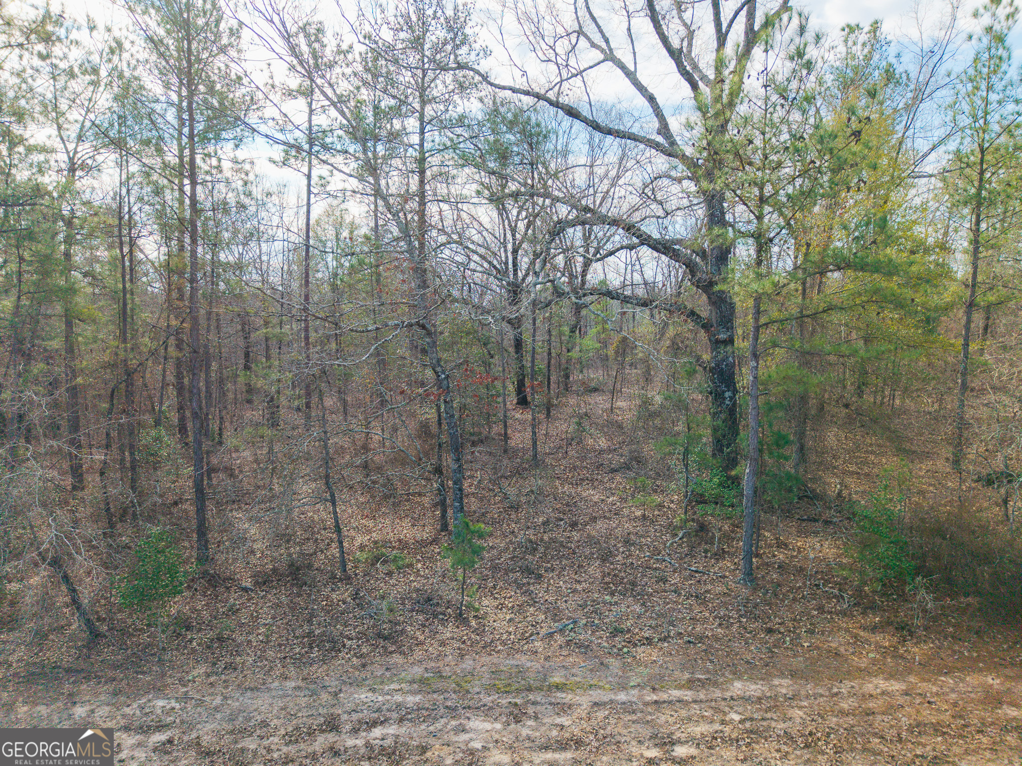 2729 Hadden Pond Road Avera, GA 30803 - Photo 13 of 68