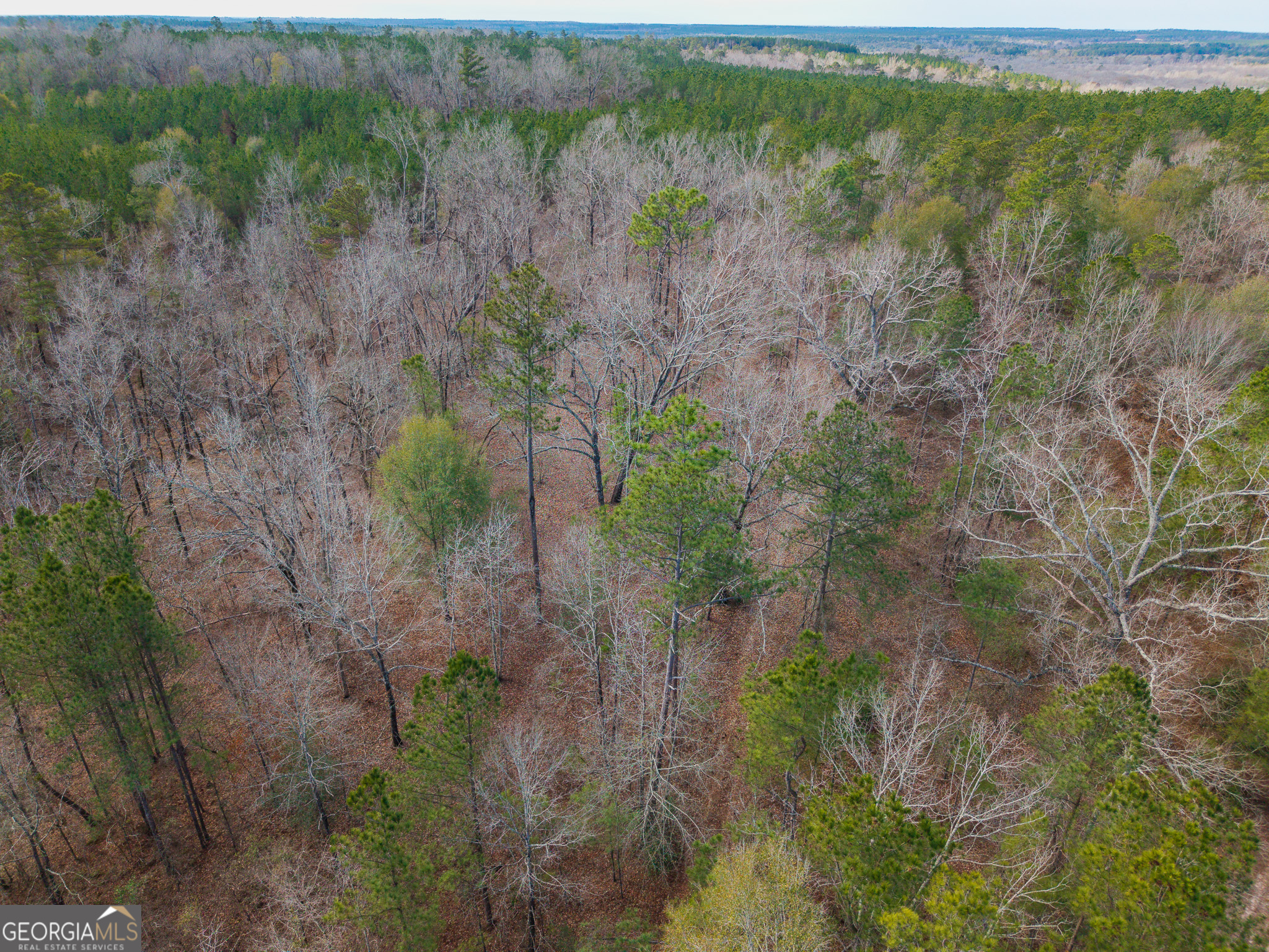 2729 Hadden Pond Road Avera, GA 30803 - Photo 14 of 68