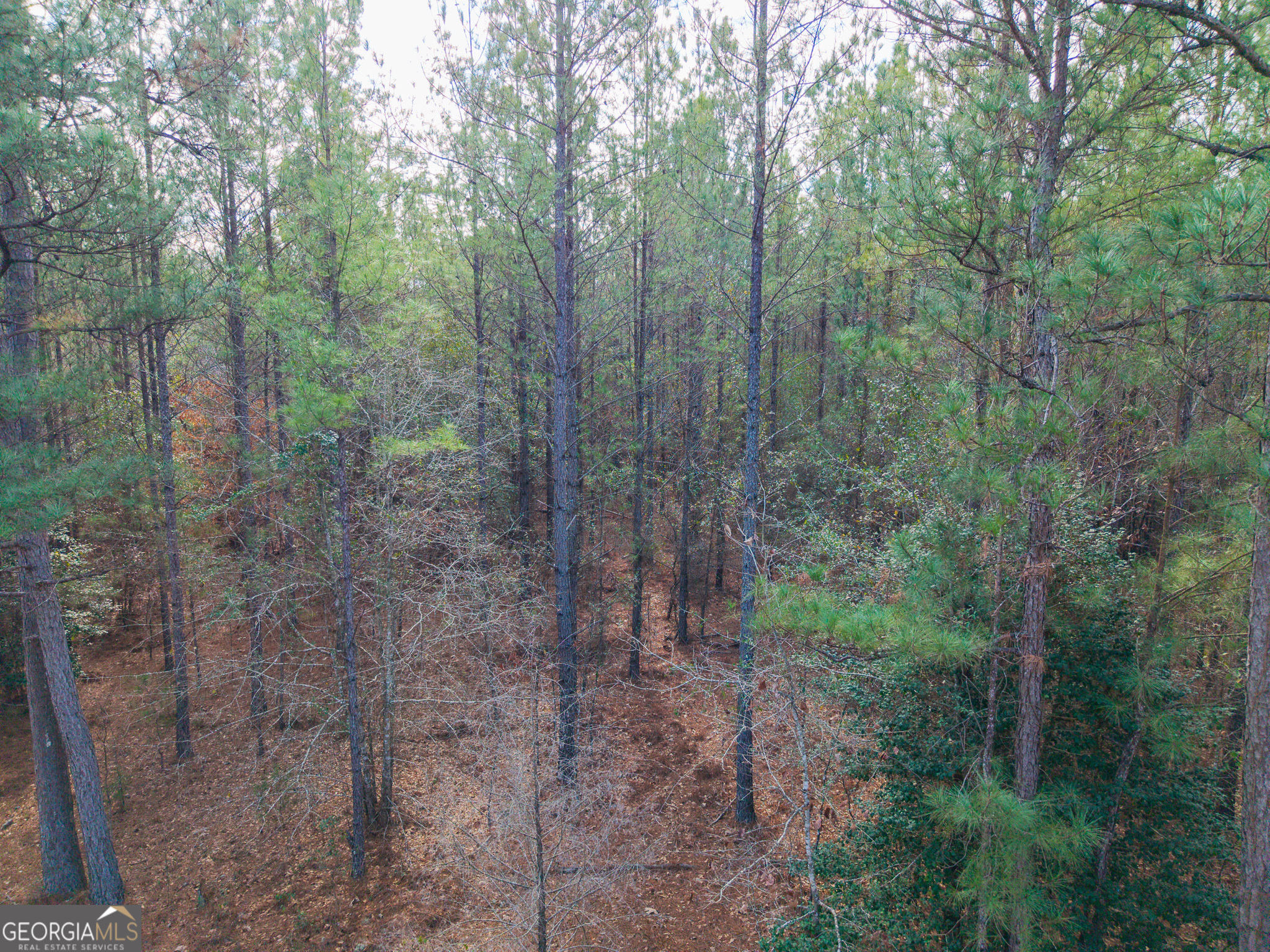 2729 Hadden Pond Road Avera, GA 30803 - Photo 15 of 68