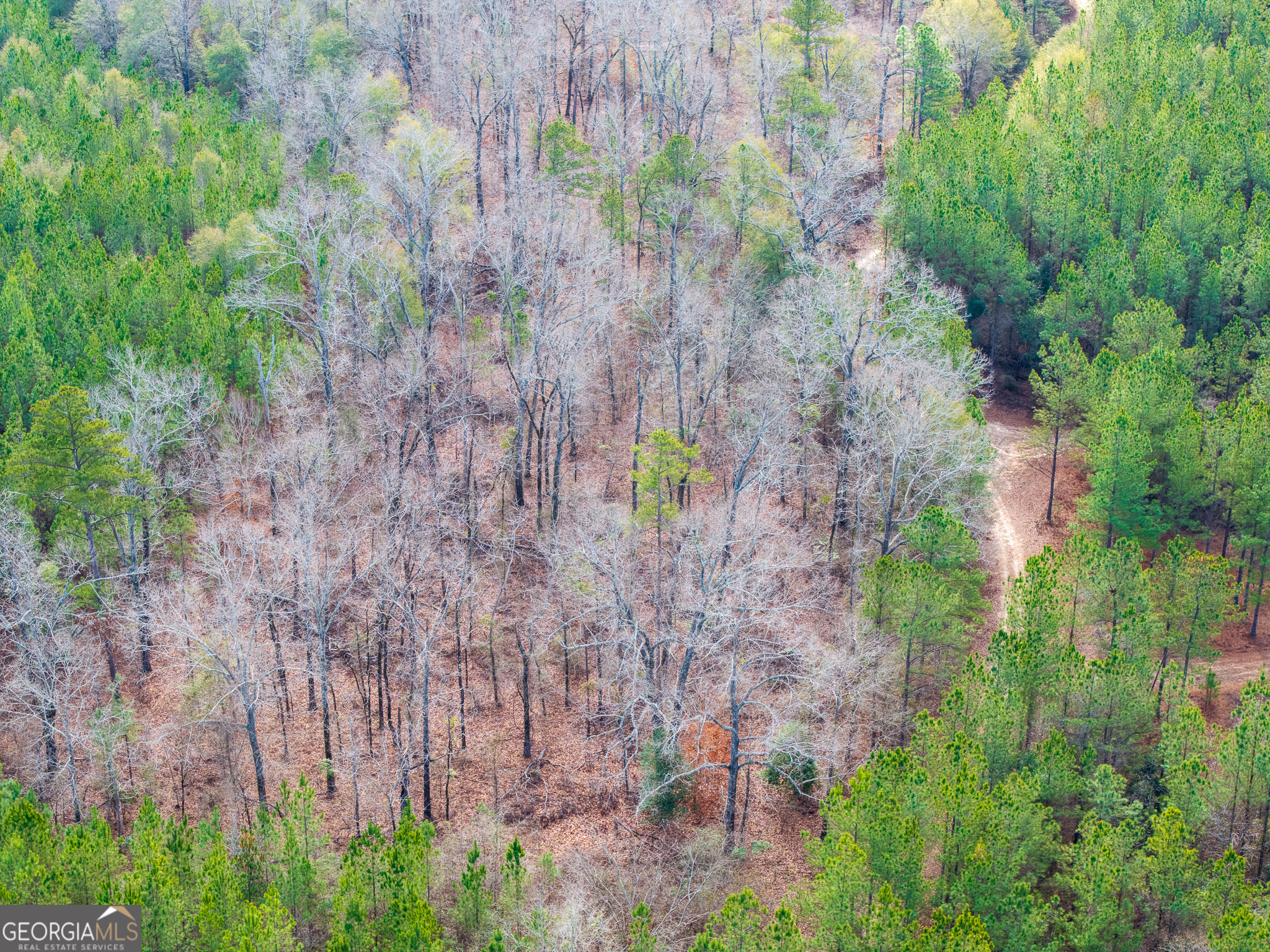 2729 Hadden Pond Road Avera, GA 30803 - Photo 16 of 68