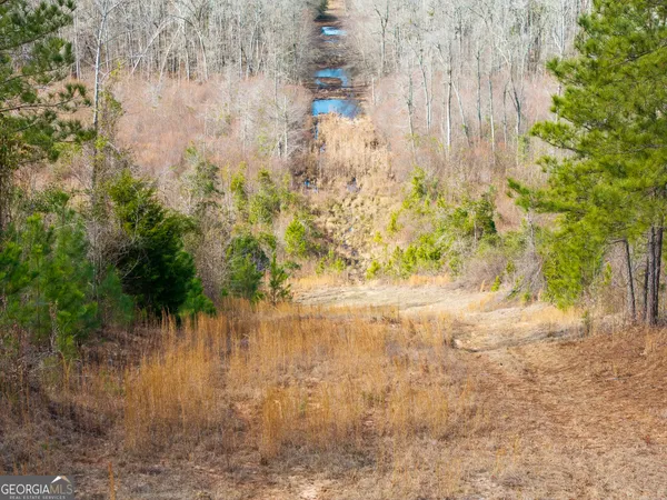 $899,000 | 2729 Hadden Pond Road, Avera, GA 30803