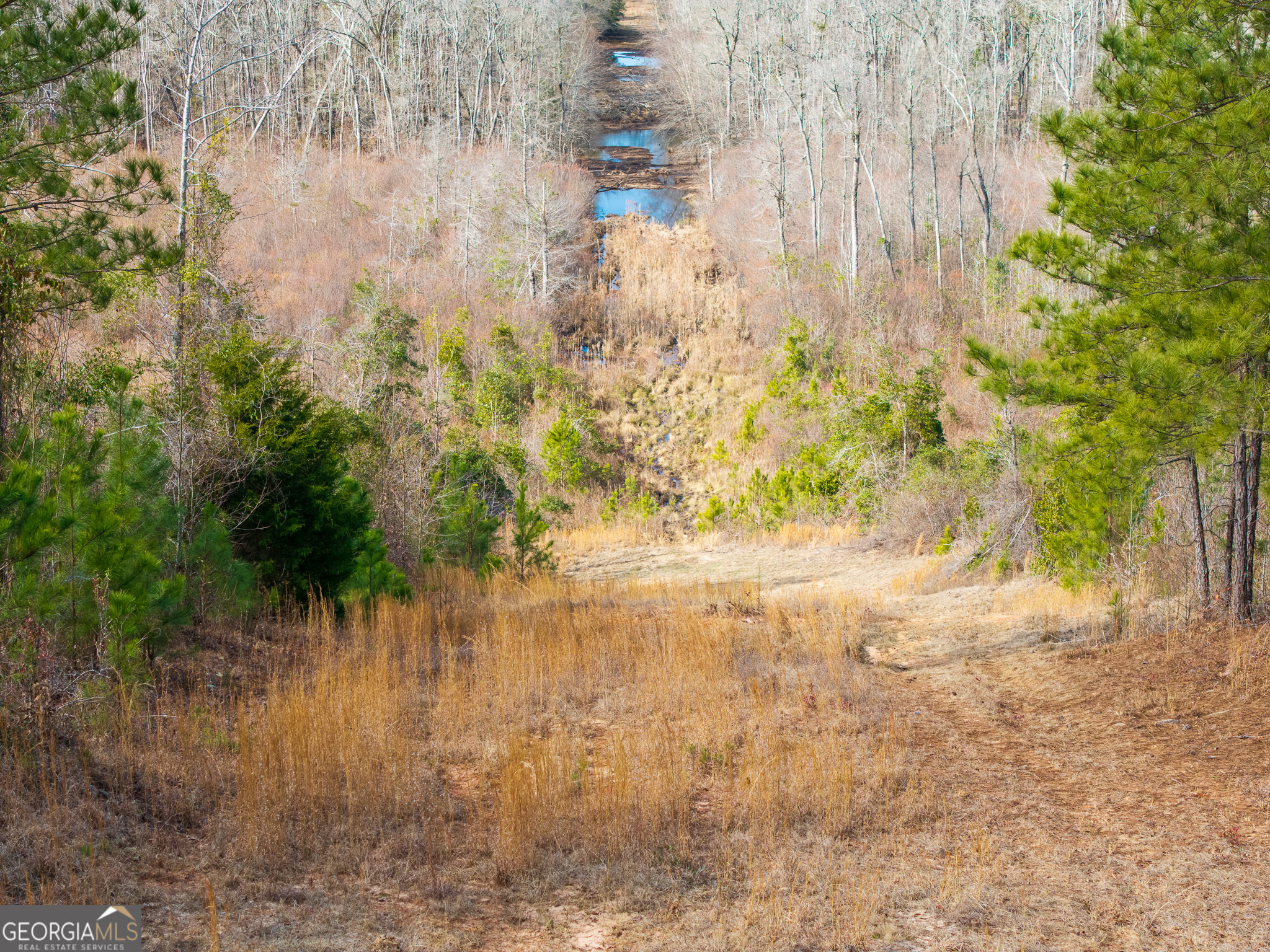 2729 Hadden Pond Road Avera, GA 30803 - Photo 17 of 68