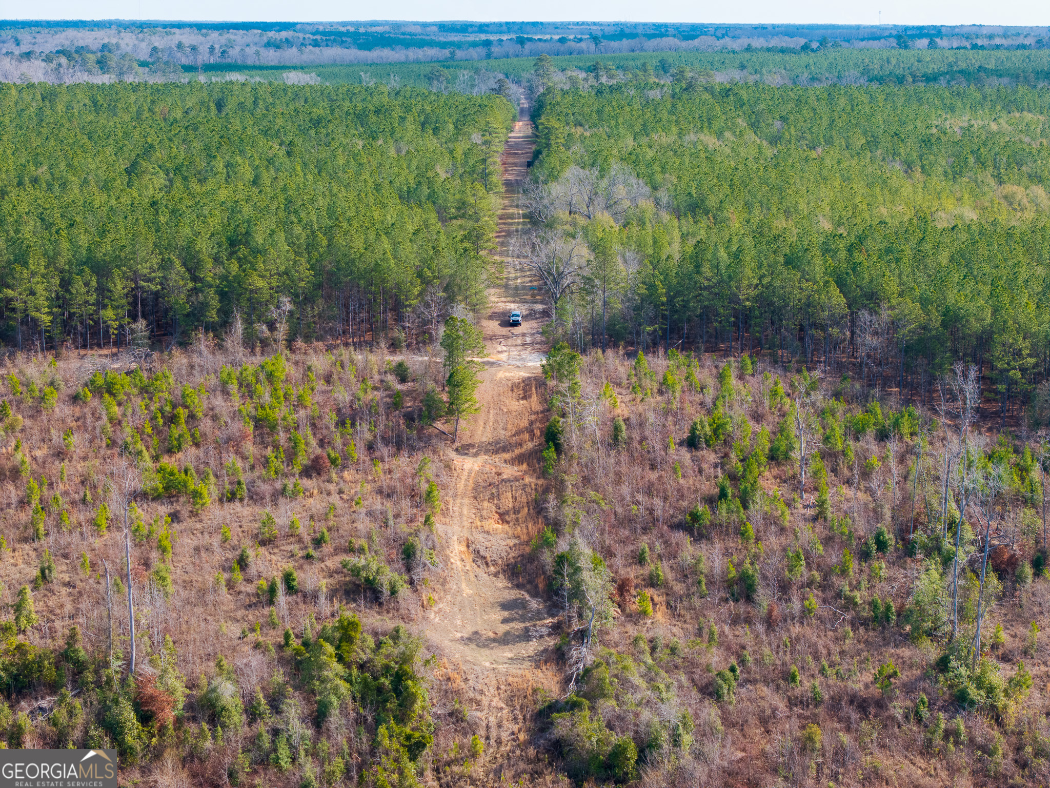 2729 Hadden Pond Road Avera, GA 30803 - Photo 18 of 68