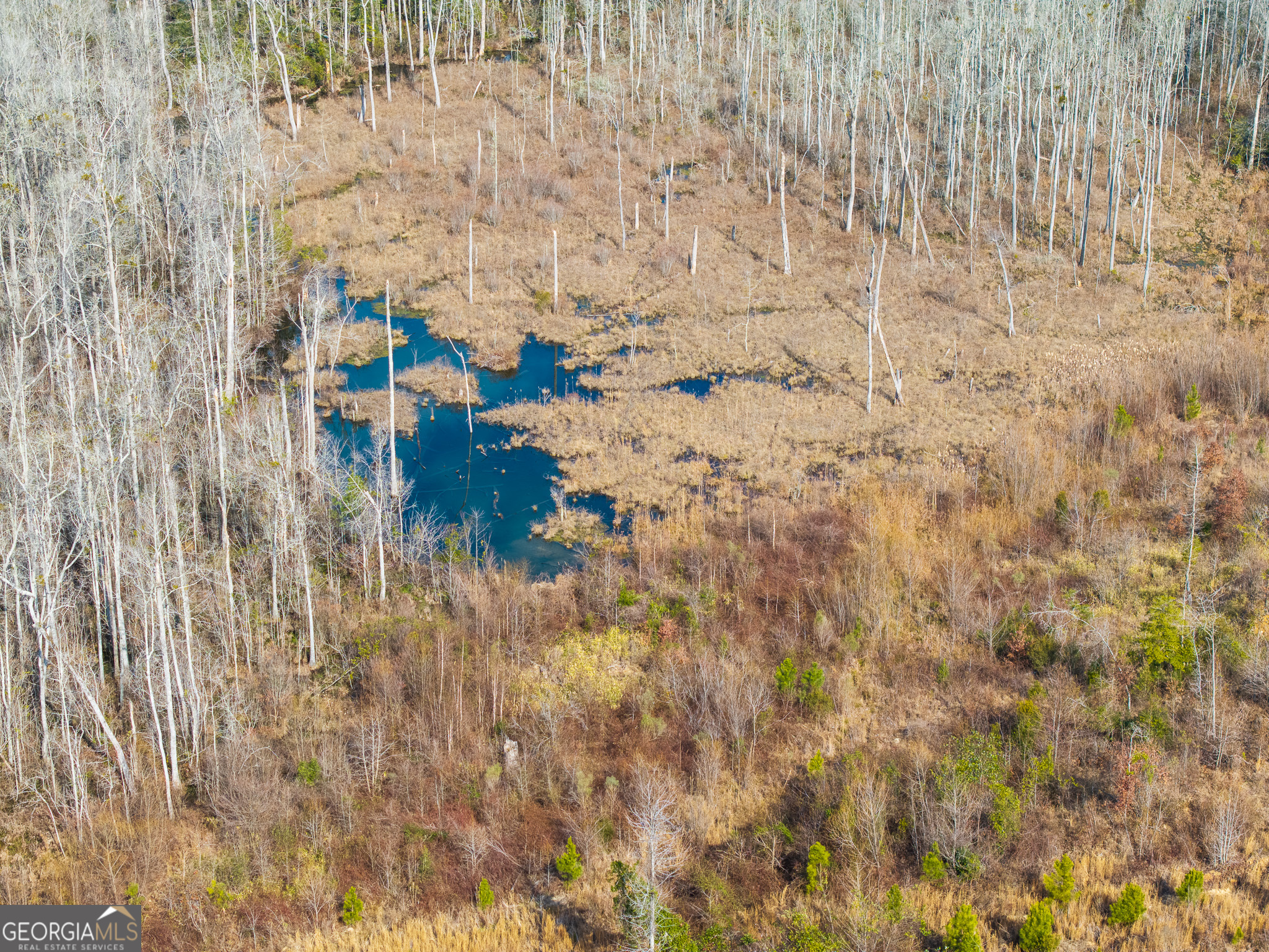 2729 Hadden Pond Road Avera, GA 30803 - Photo 19 of 68