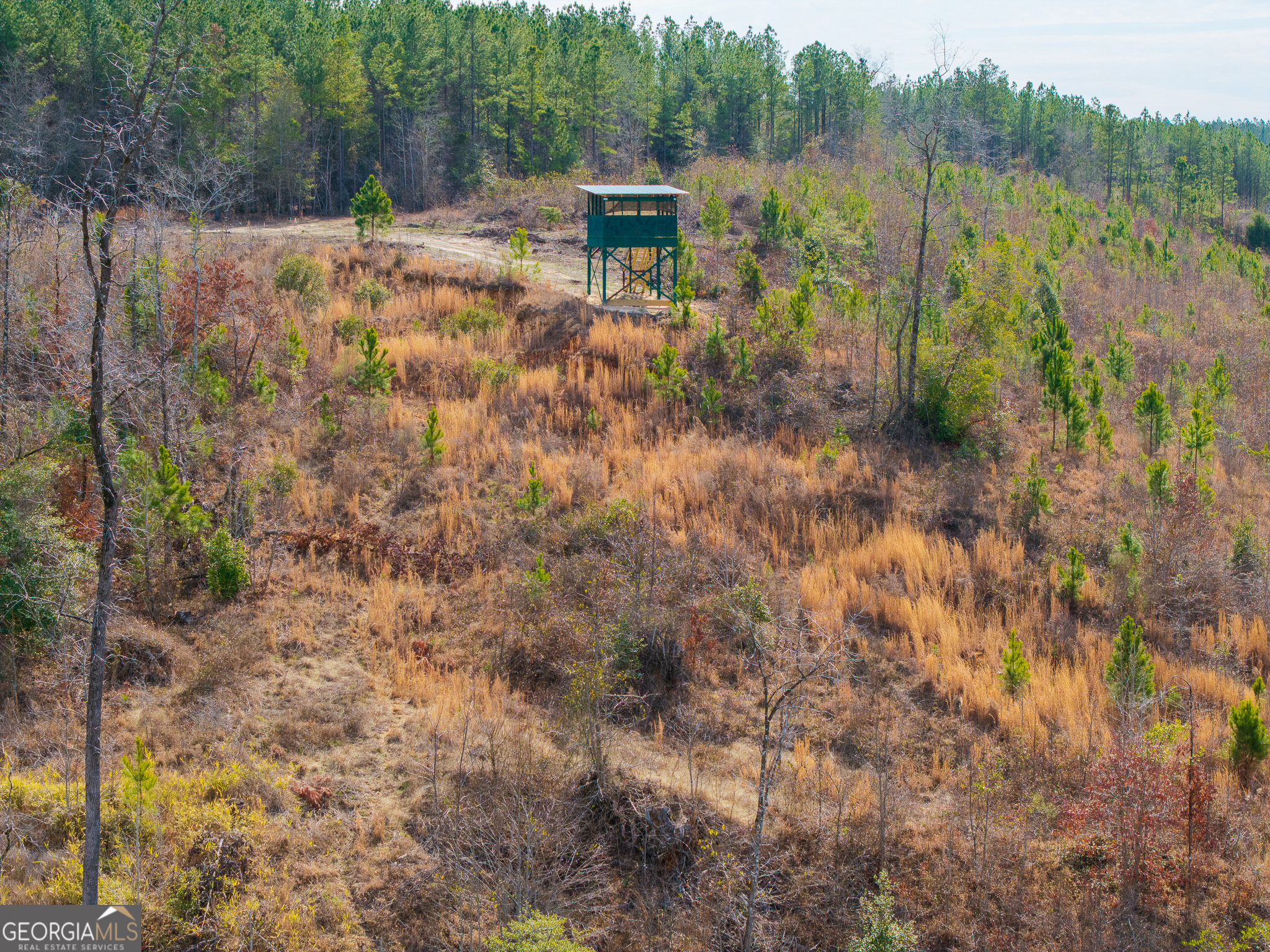 2729 Hadden Pond Road Avera, GA 30803 - Photo 20 of 68