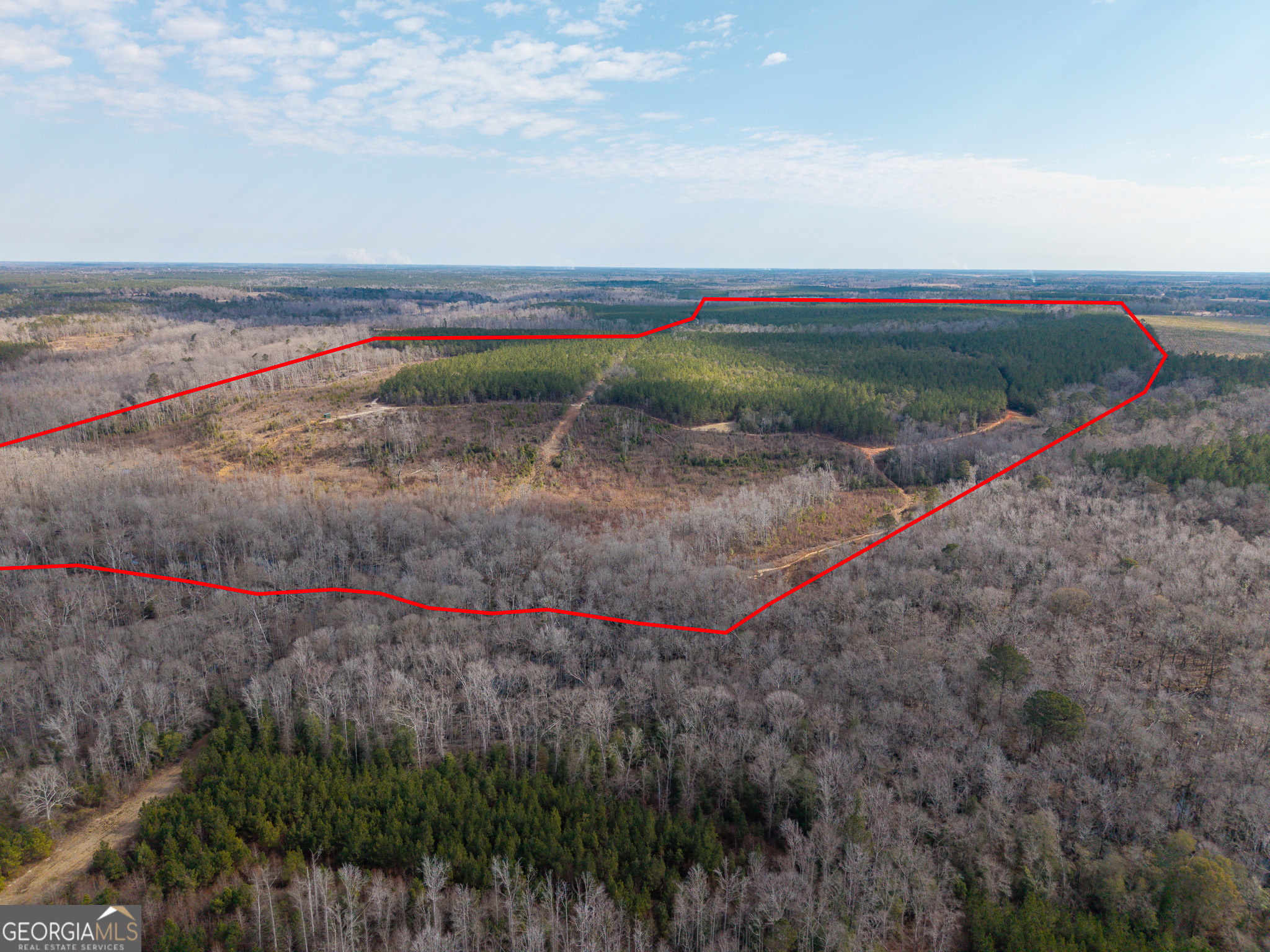 2729 Hadden Pond Road Avera, GA 30803 - Photo 2 of 68