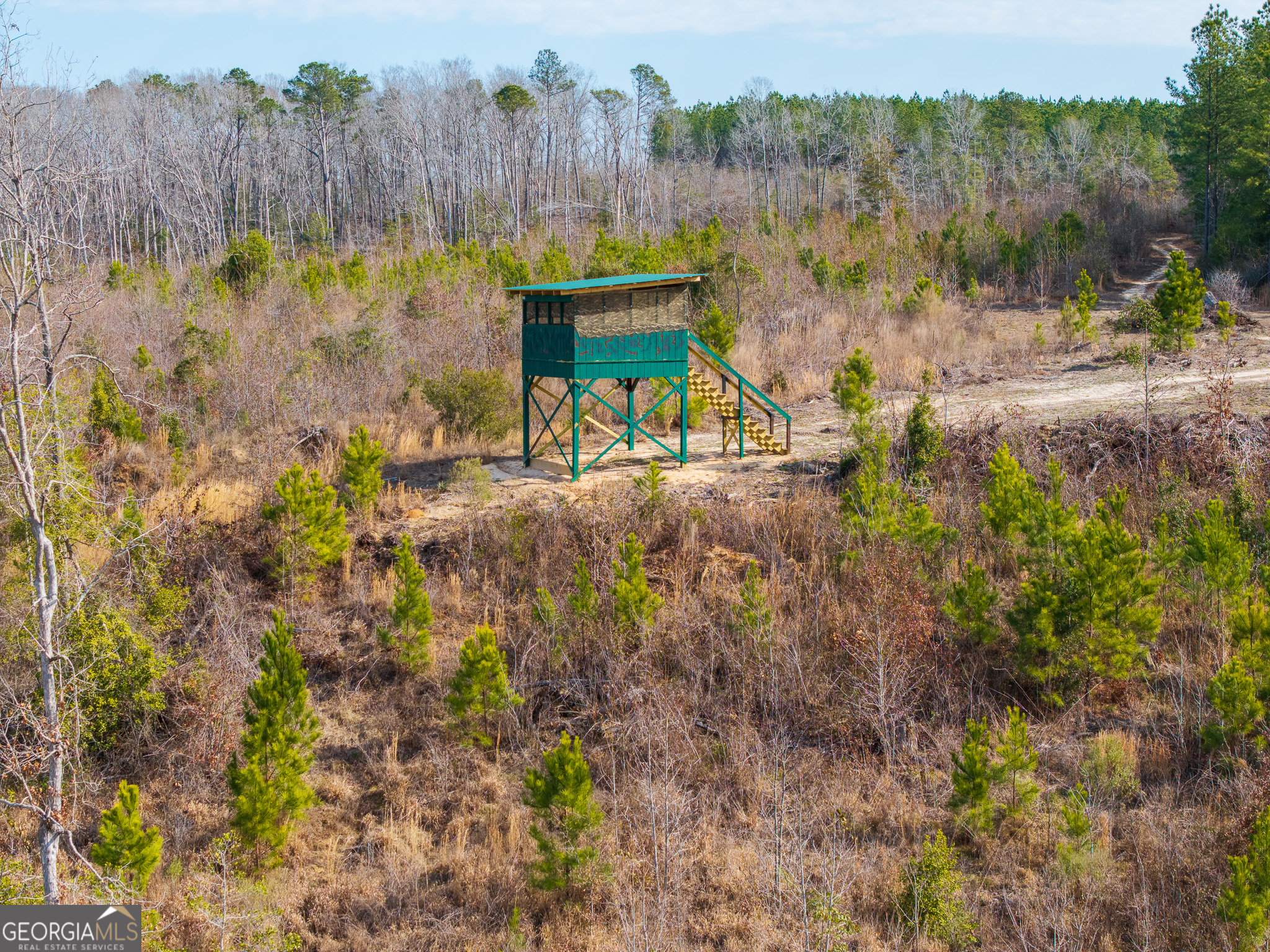 2729 Hadden Pond Road Avera, GA 30803 - Photo 21 of 68