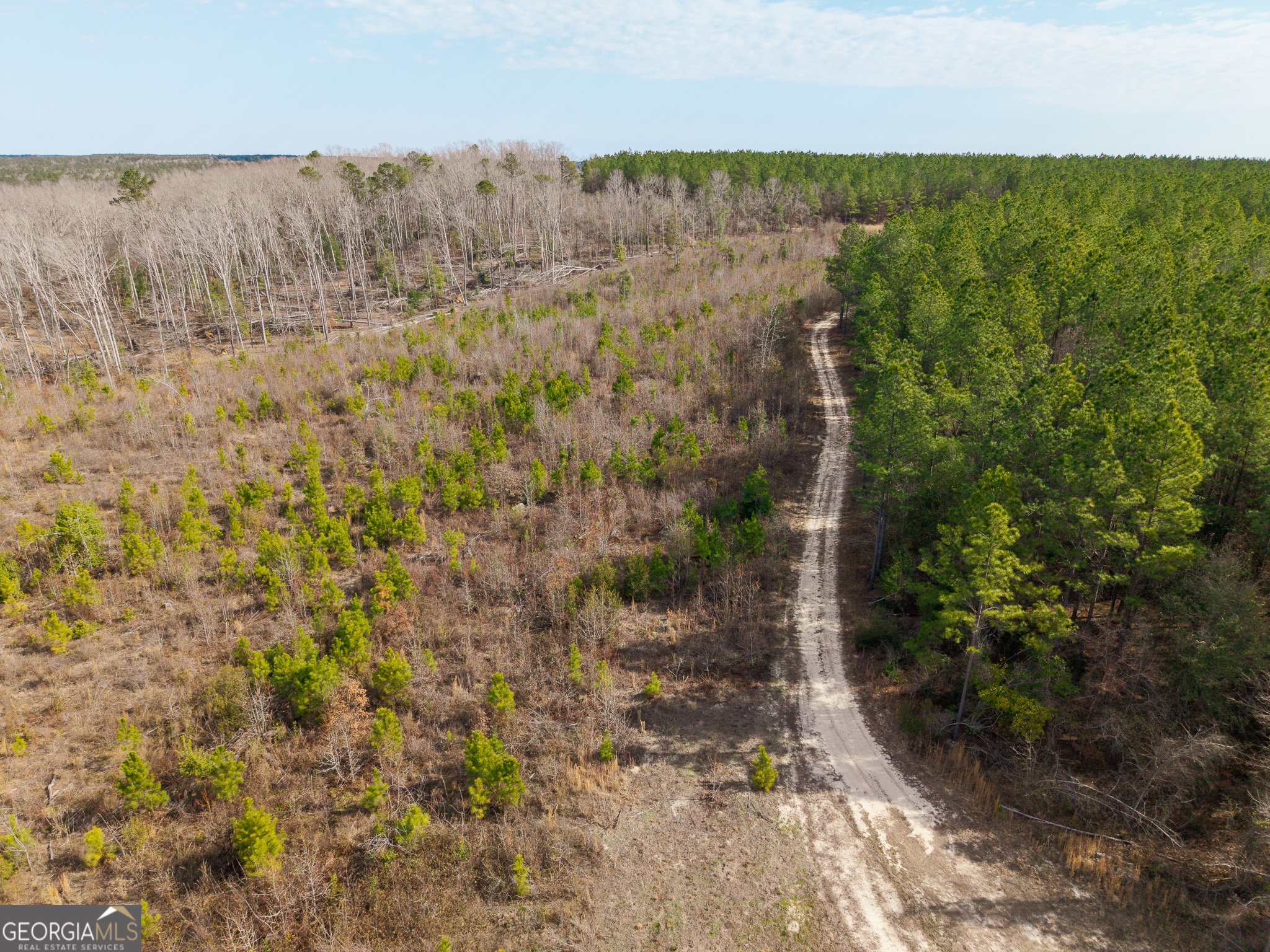2729 Hadden Pond Road Avera, GA 30803 - Photo 22 of 68