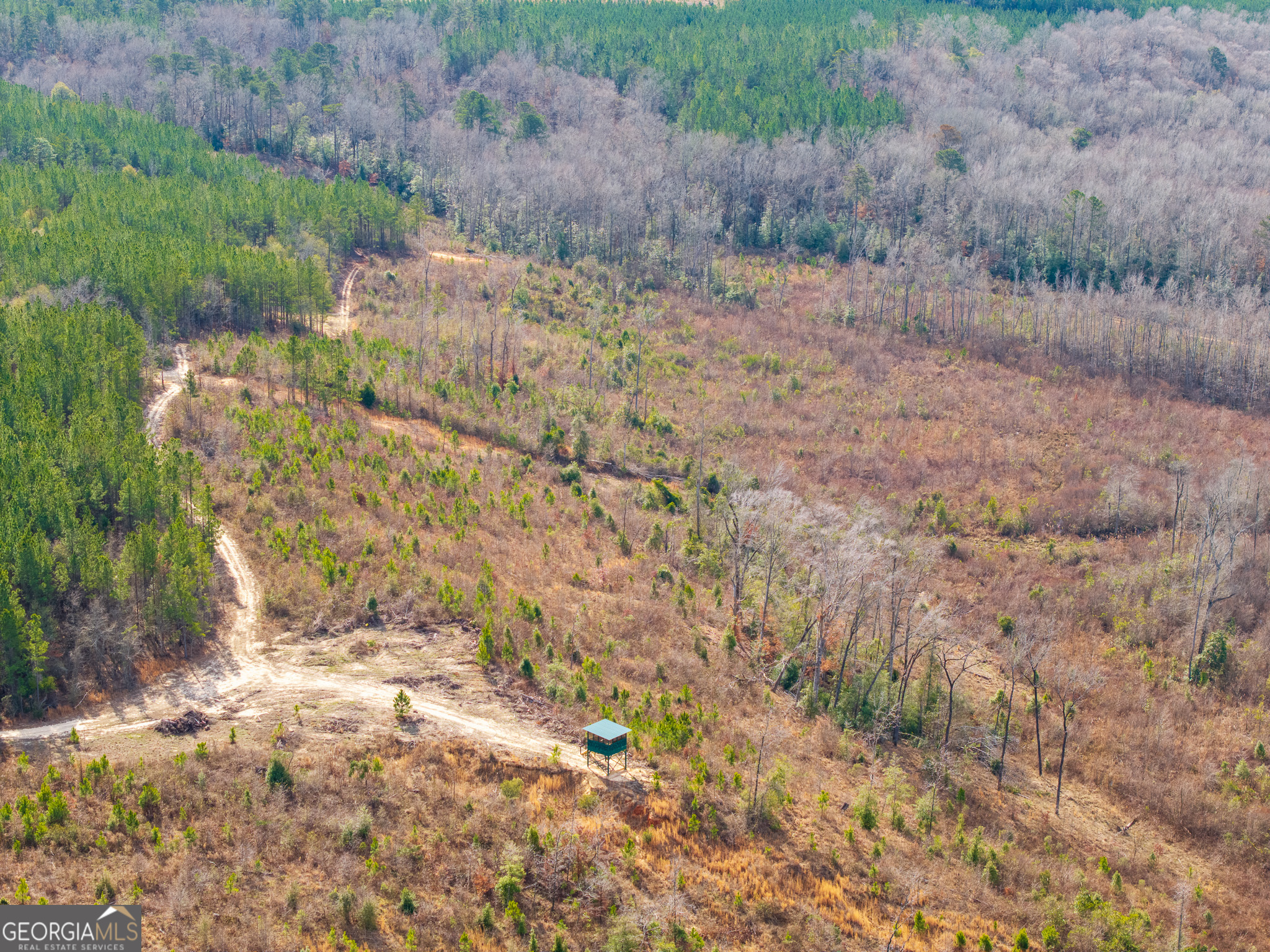 2729 Hadden Pond Road Avera, GA 30803 - Photo 23 of 68