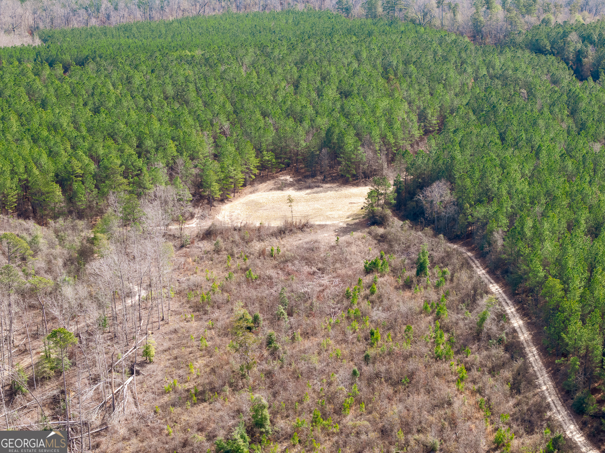 2729 Hadden Pond Road Avera, GA 30803 - Photo 25 of 68