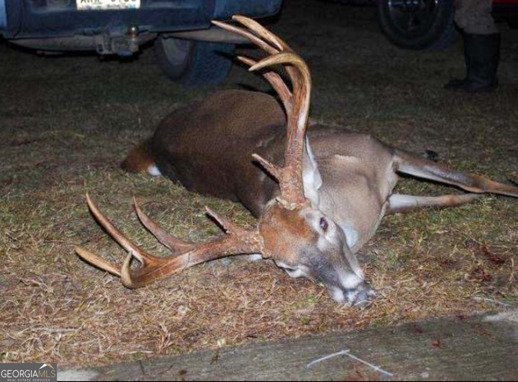 2729 Hadden Pond Road Avera, GA 30803 - Photo 3 of 68