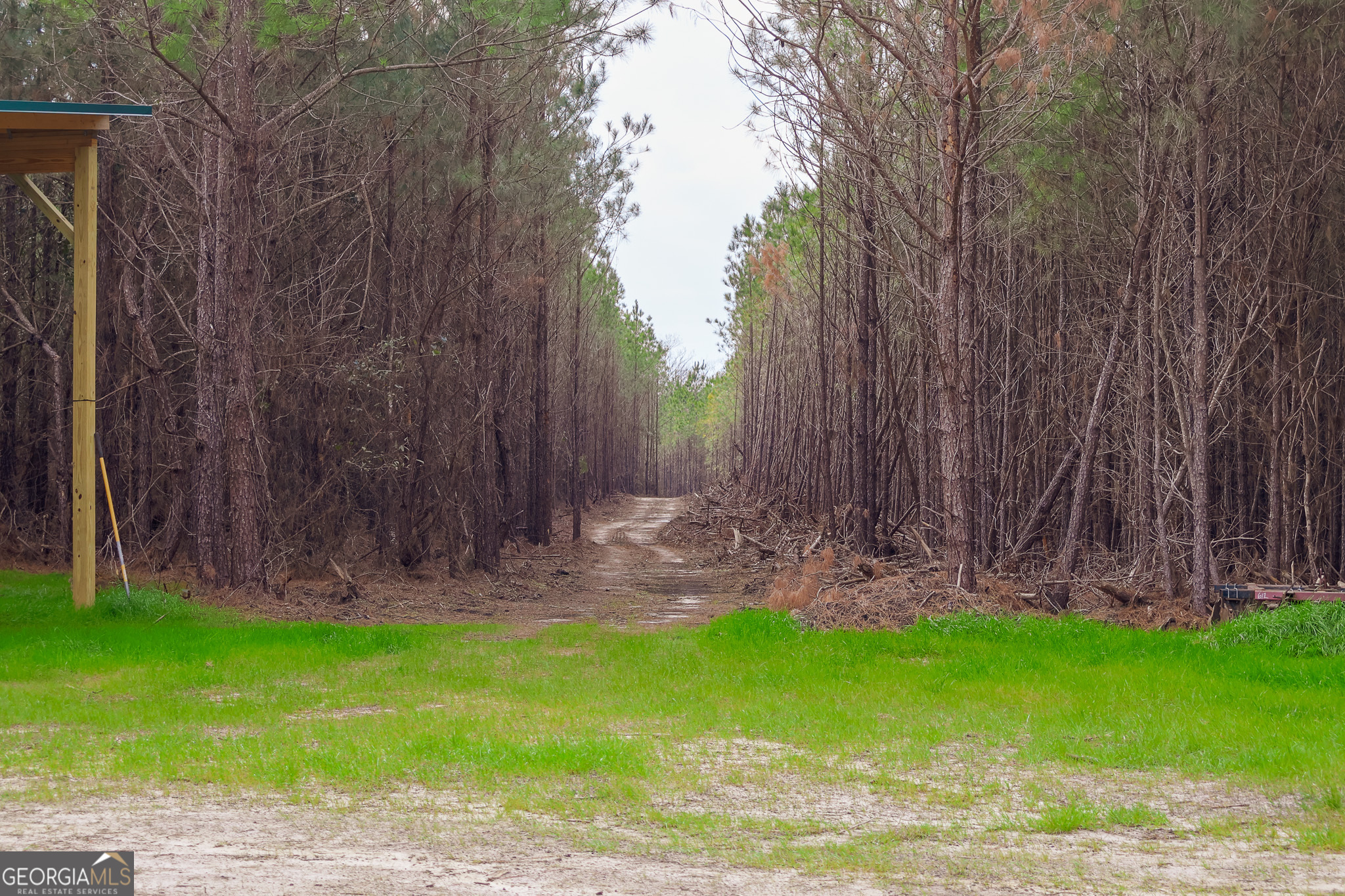 2729 Hadden Pond Road Avera, GA 30803 - Photo 37 of 68