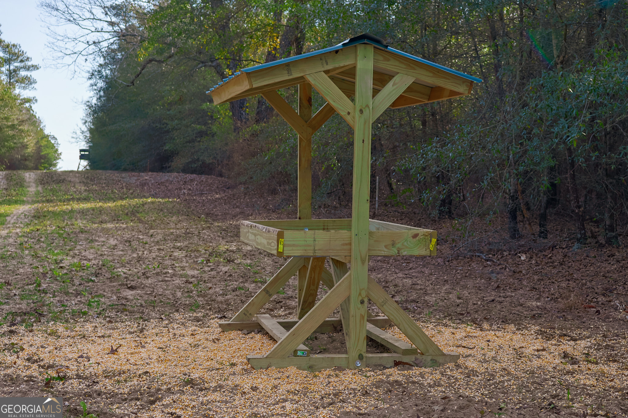 2729 Hadden Pond Road Avera, GA 30803 - Photo 4 of 68