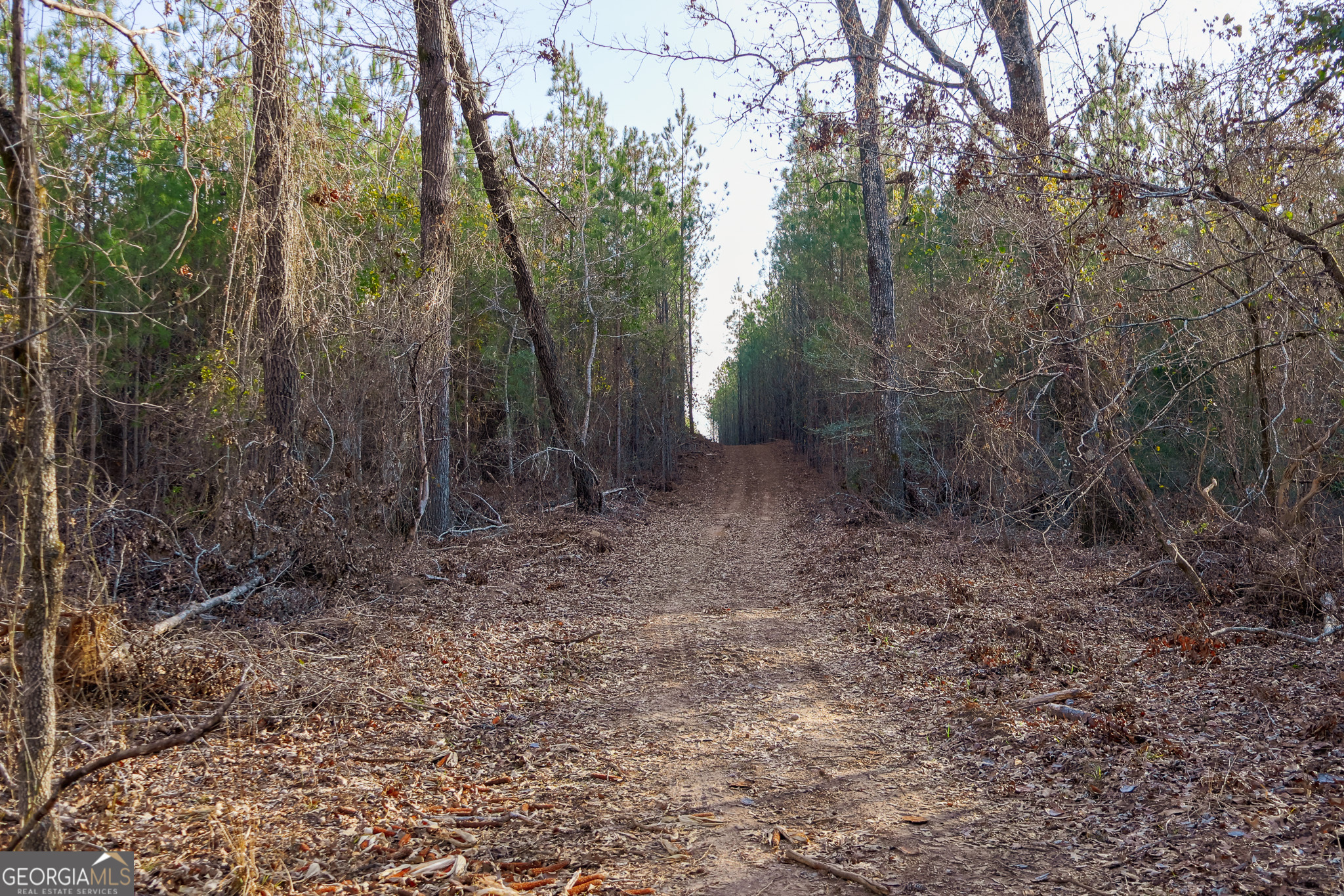 2729 Hadden Pond Road Avera, GA 30803 - Photo 41 of 68