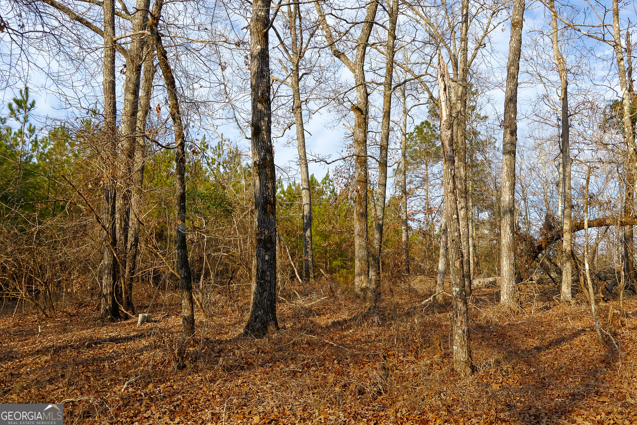 2729 Hadden Pond Road Avera, GA 30803 - Photo 42 of 68