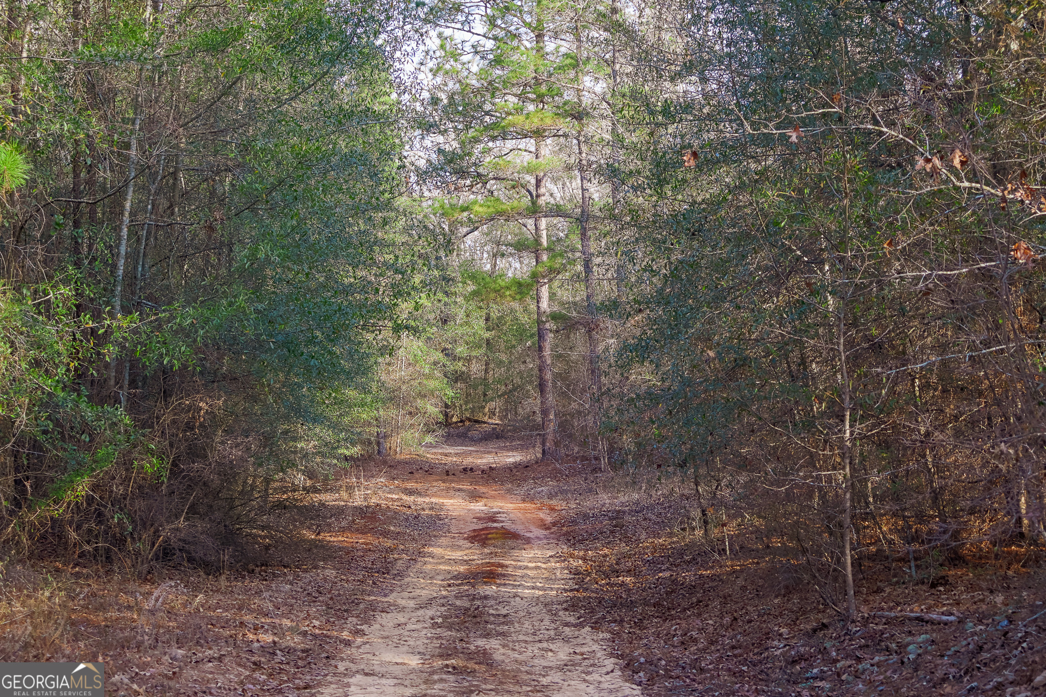 2729 Hadden Pond Road Avera, GA 30803 - Photo 43 of 68