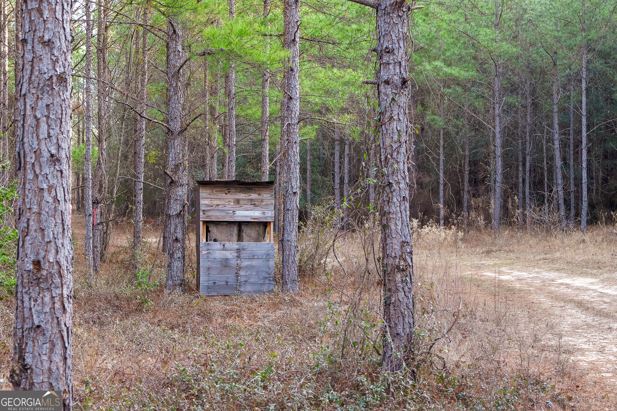 2729 Hadden Pond Road Avera, GA 30803 - Photo 44 of 68