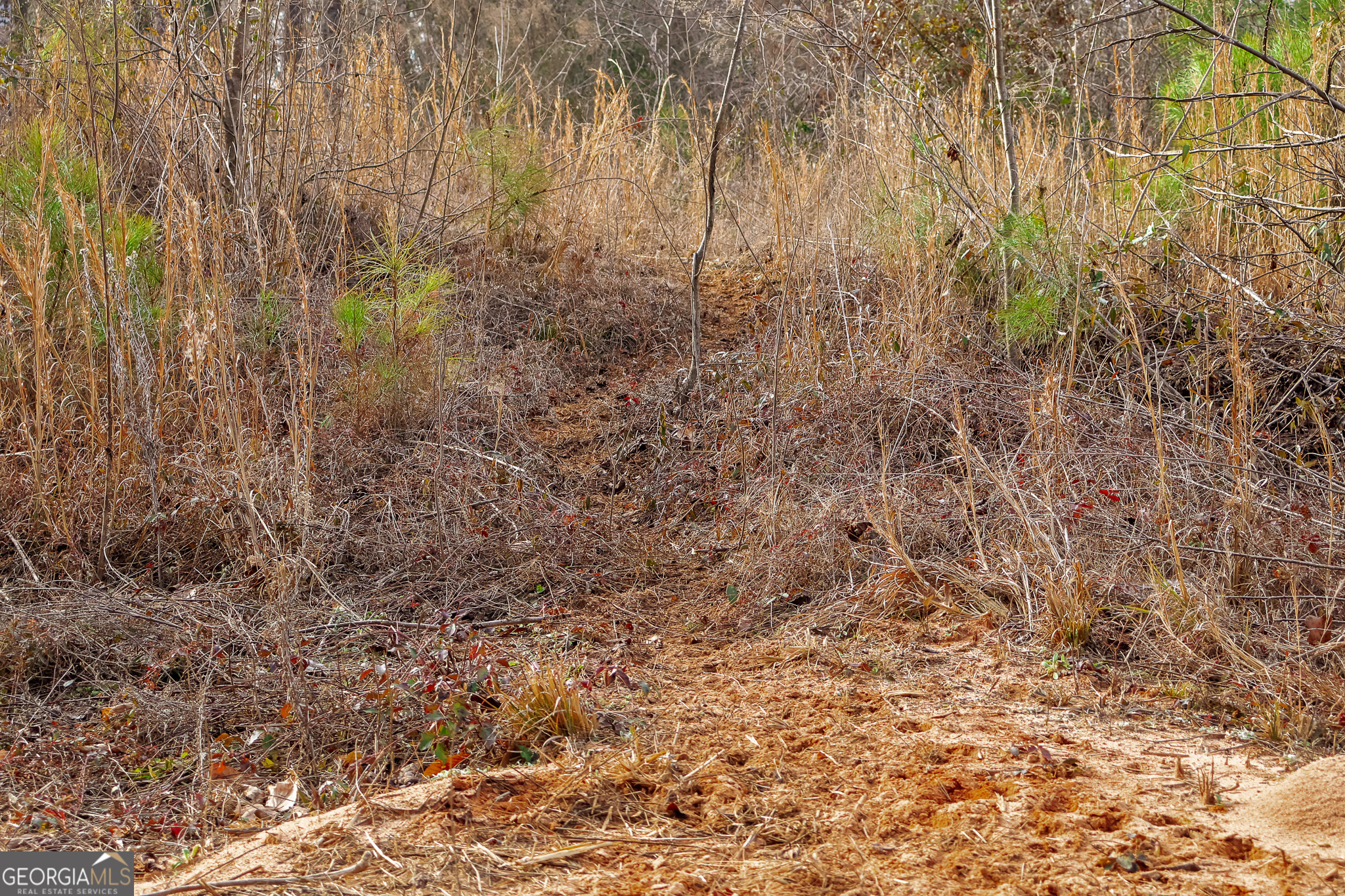 2729 Hadden Pond Road Avera, GA 30803 - Photo 46 of 68