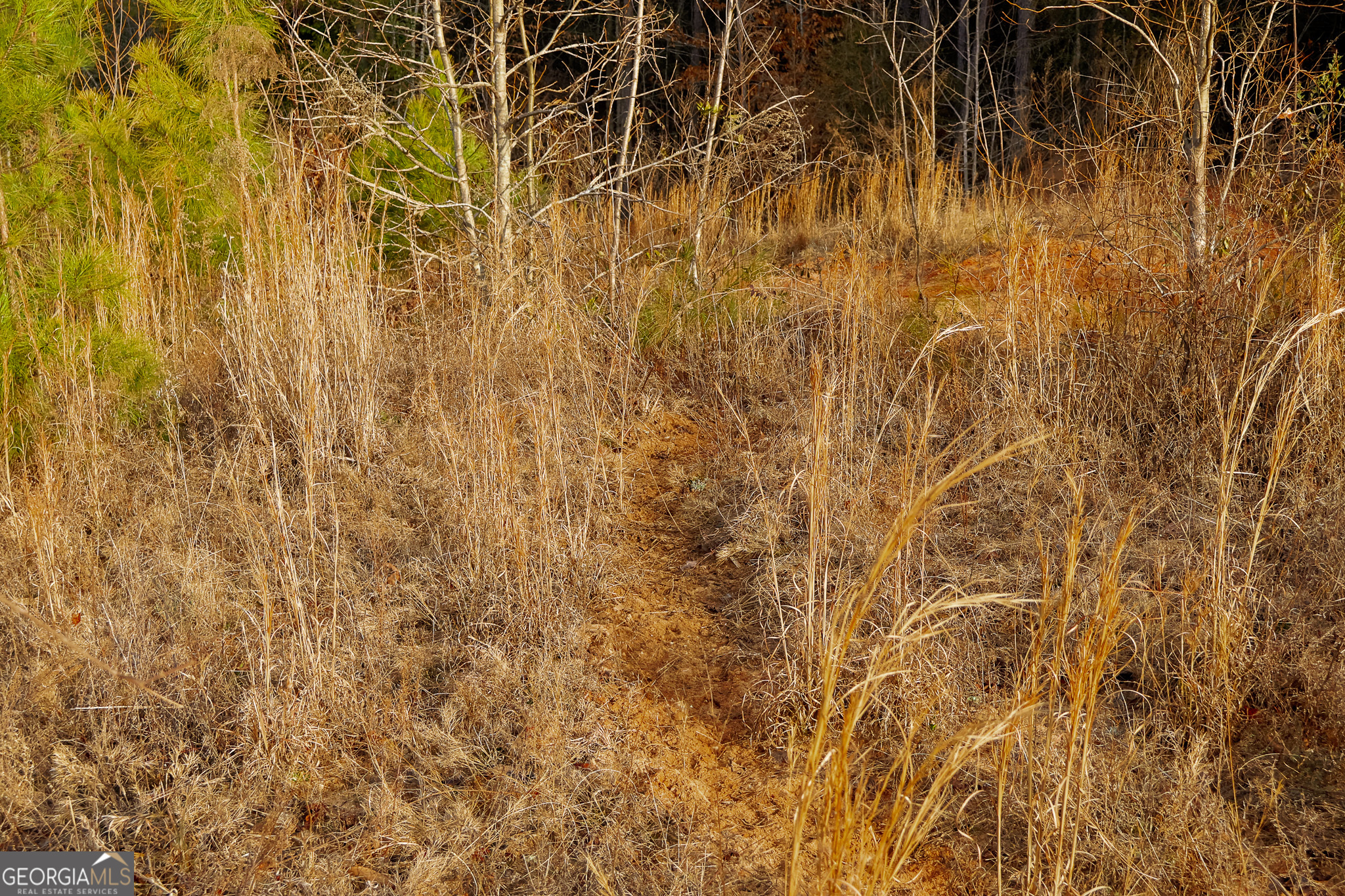 2729 Hadden Pond Road Avera, GA 30803 - Photo 47 of 68