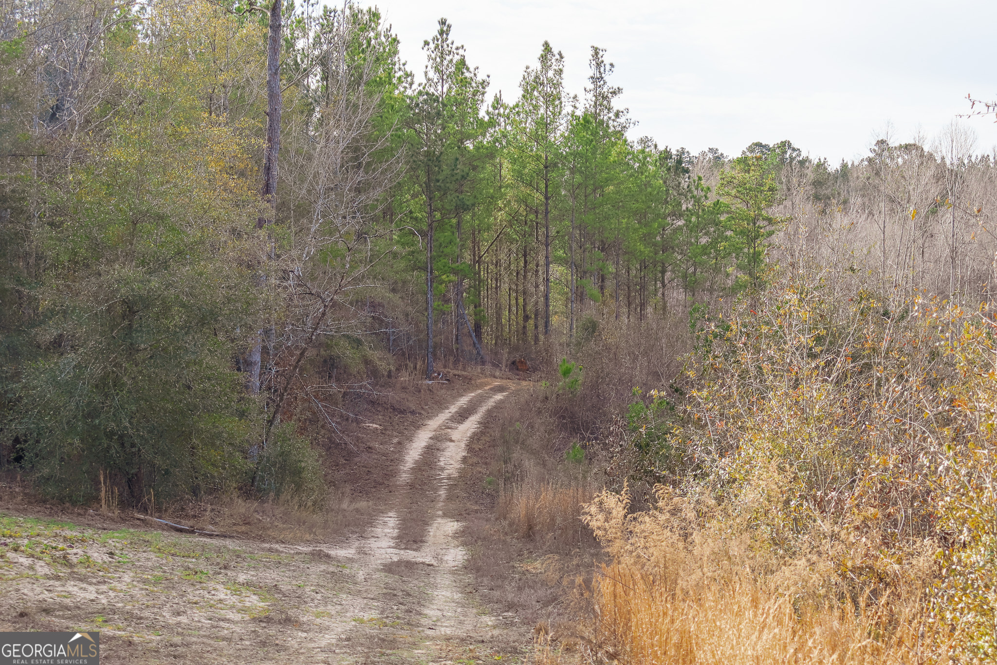 2729 Hadden Pond Road Avera, GA 30803 - Photo 48 of 68