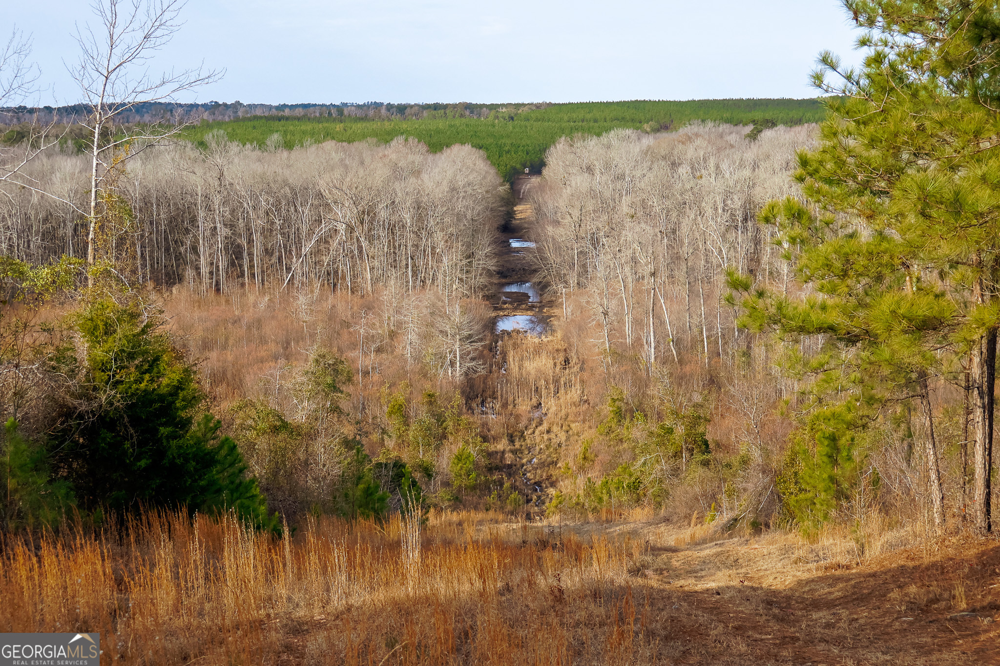 2729 Hadden Pond Road Avera, GA 30803 - Photo 49 of 68