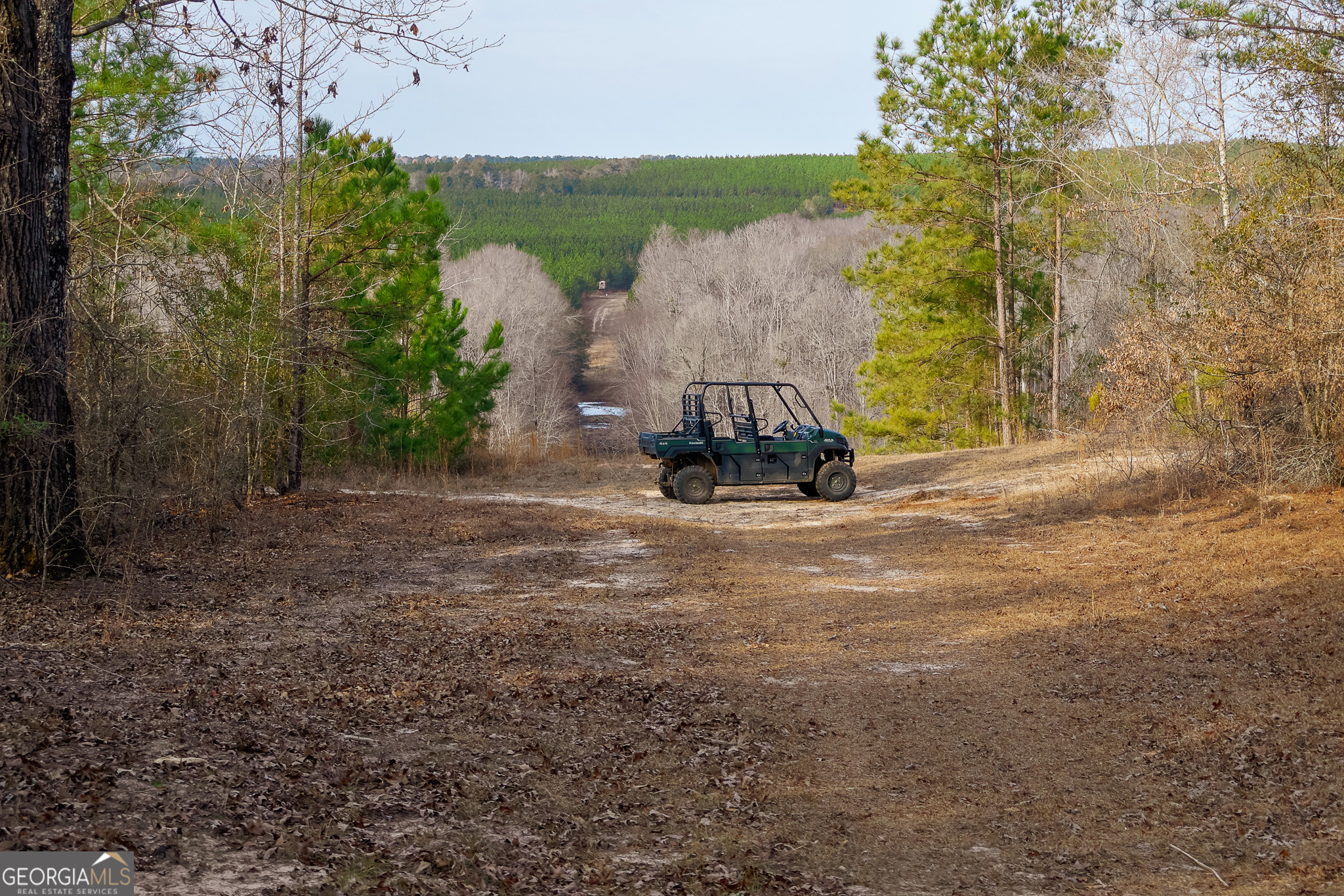2729 Hadden Pond Road Avera, GA 30803 - Photo 50 of 68