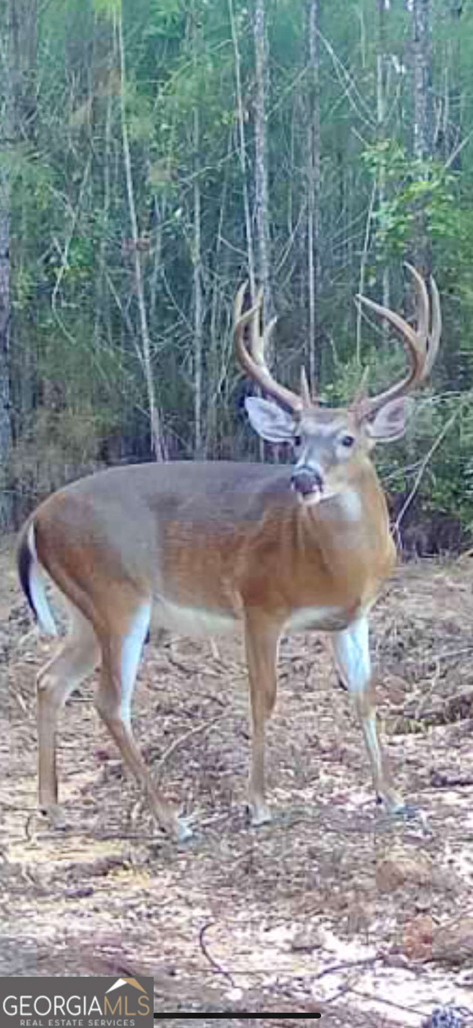 2729 Hadden Pond Road Avera, GA 30803 - Photo 5 of 68