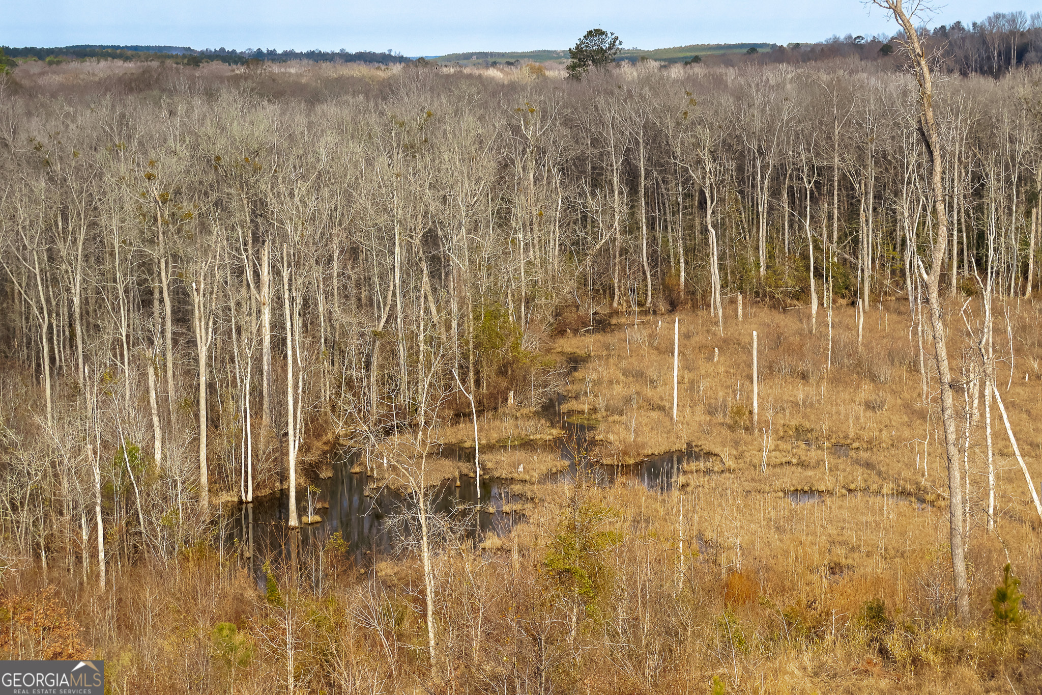 2729 Hadden Pond Road Avera, GA 30803 - Photo 53 of 68