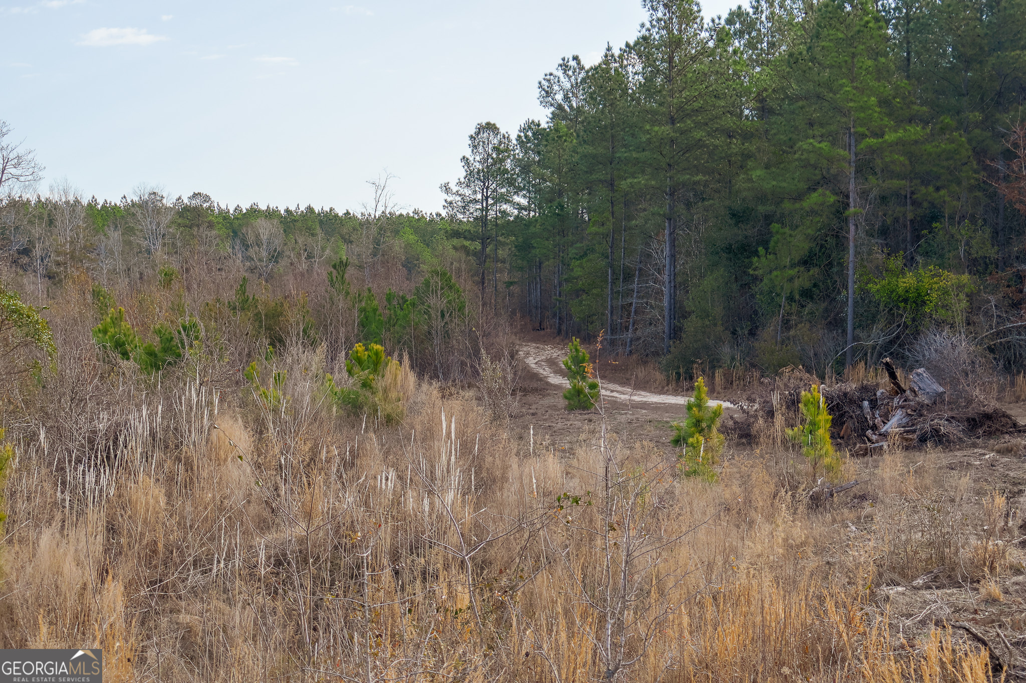 2729 Hadden Pond Road Avera, GA 30803 - Photo 54 of 68