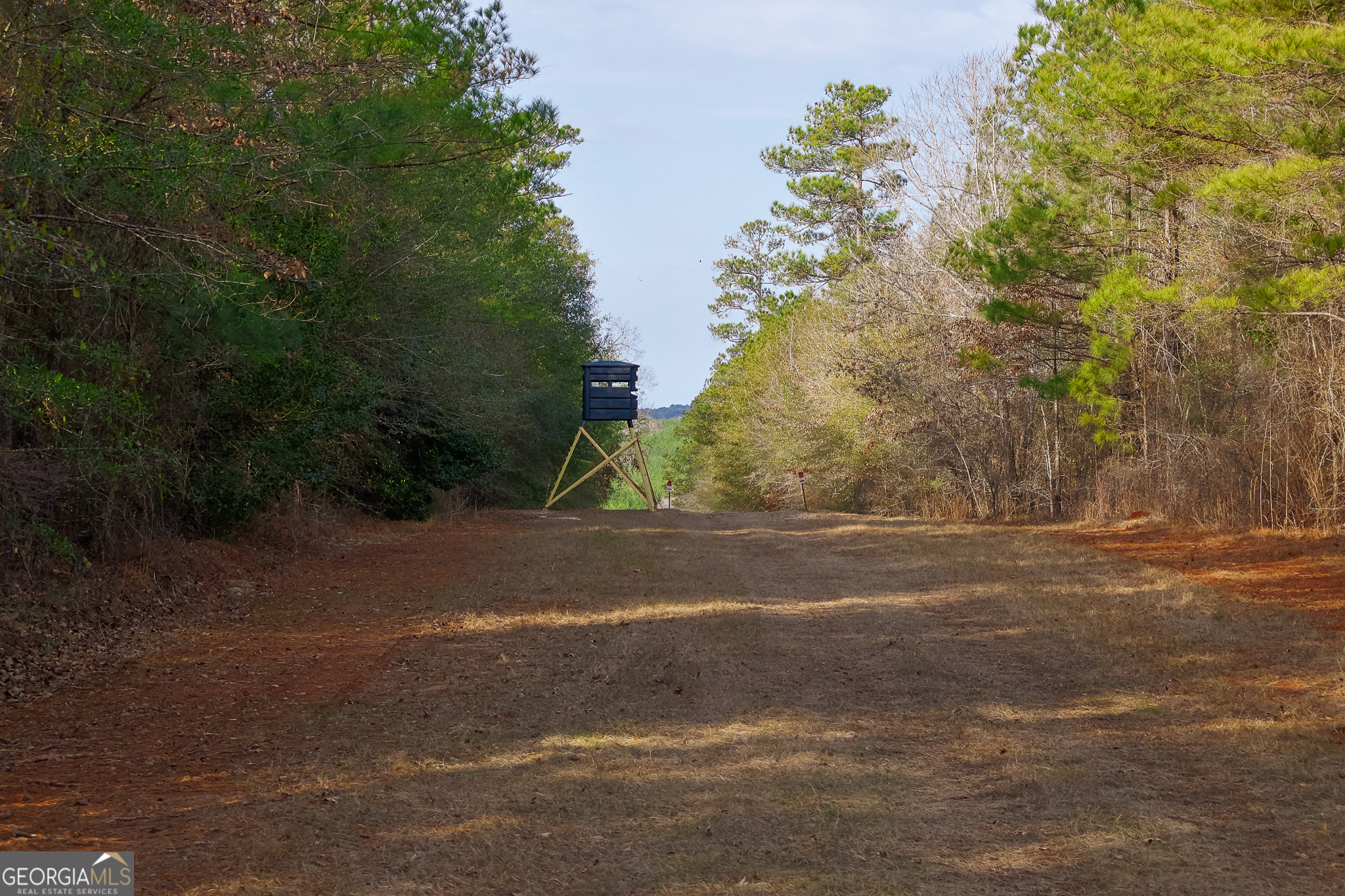 2729 Hadden Pond Road Avera, GA 30803 - Photo 55 of 68
