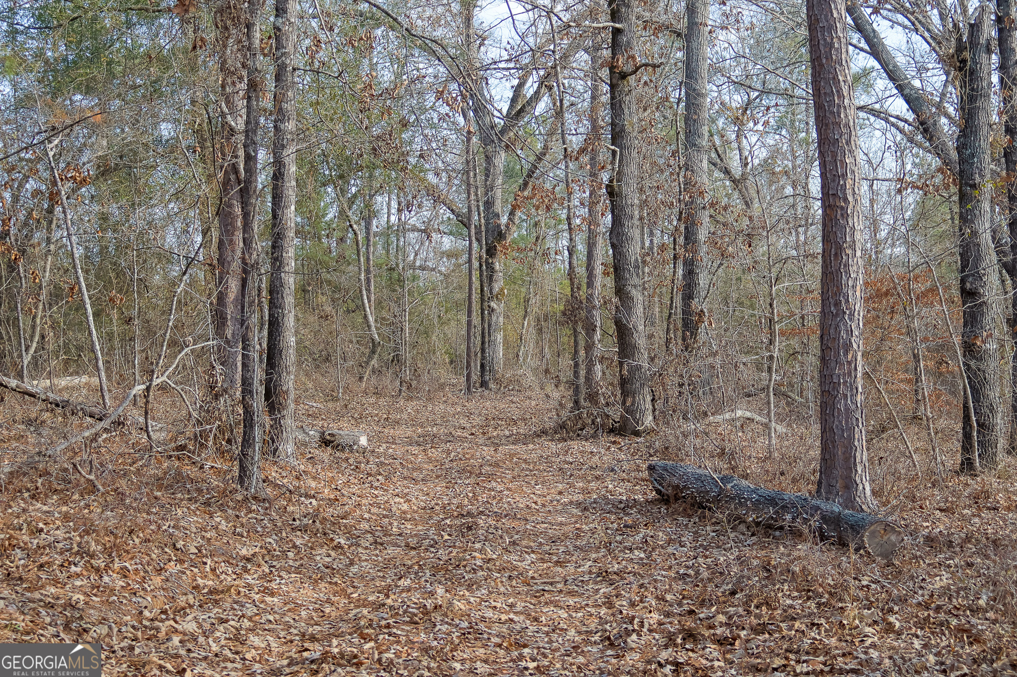 2729 Hadden Pond Road Avera, GA 30803 - Photo 57 of 68