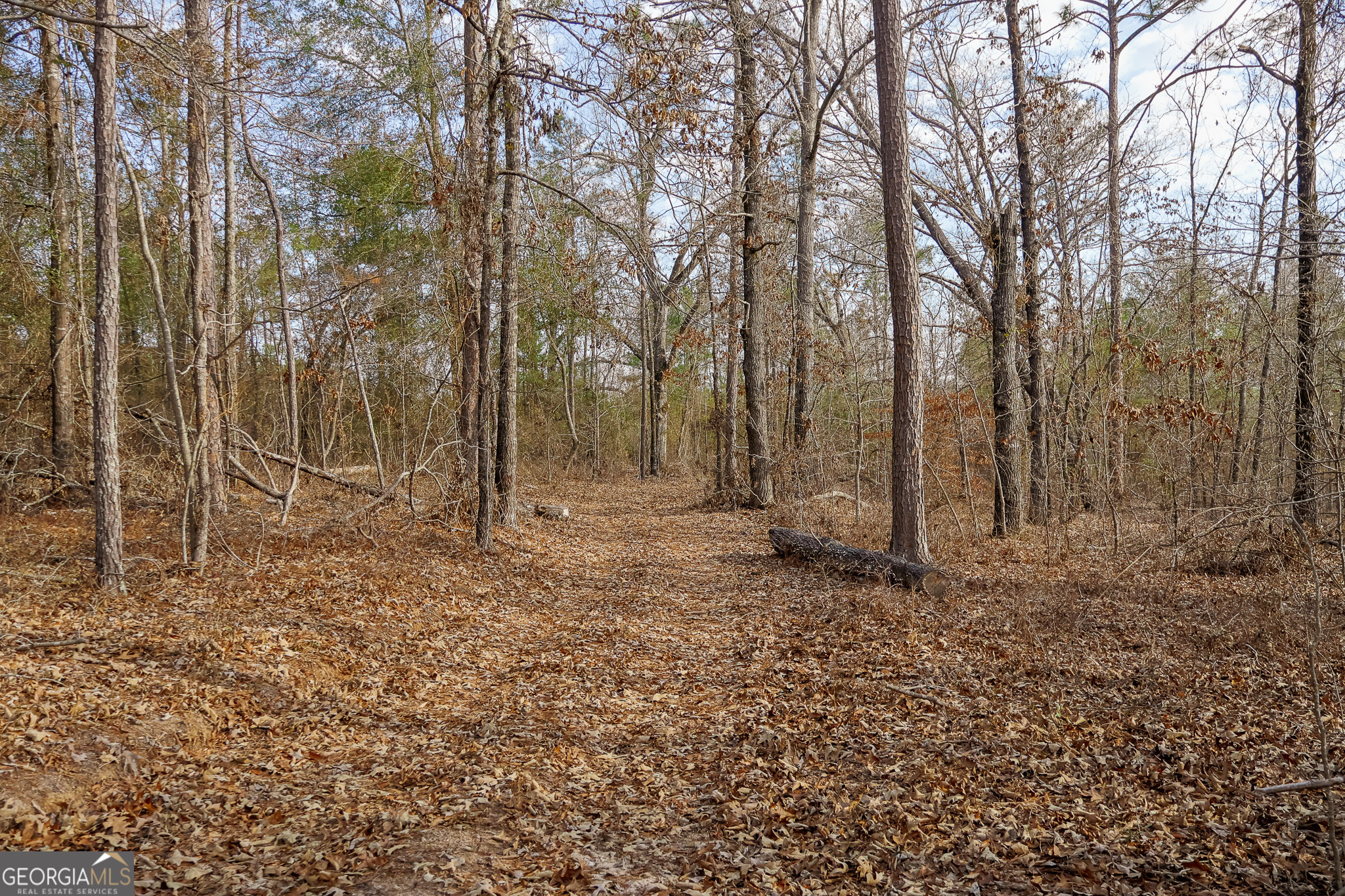 2729 Hadden Pond Road Avera, GA 30803 - Photo 58 of 68