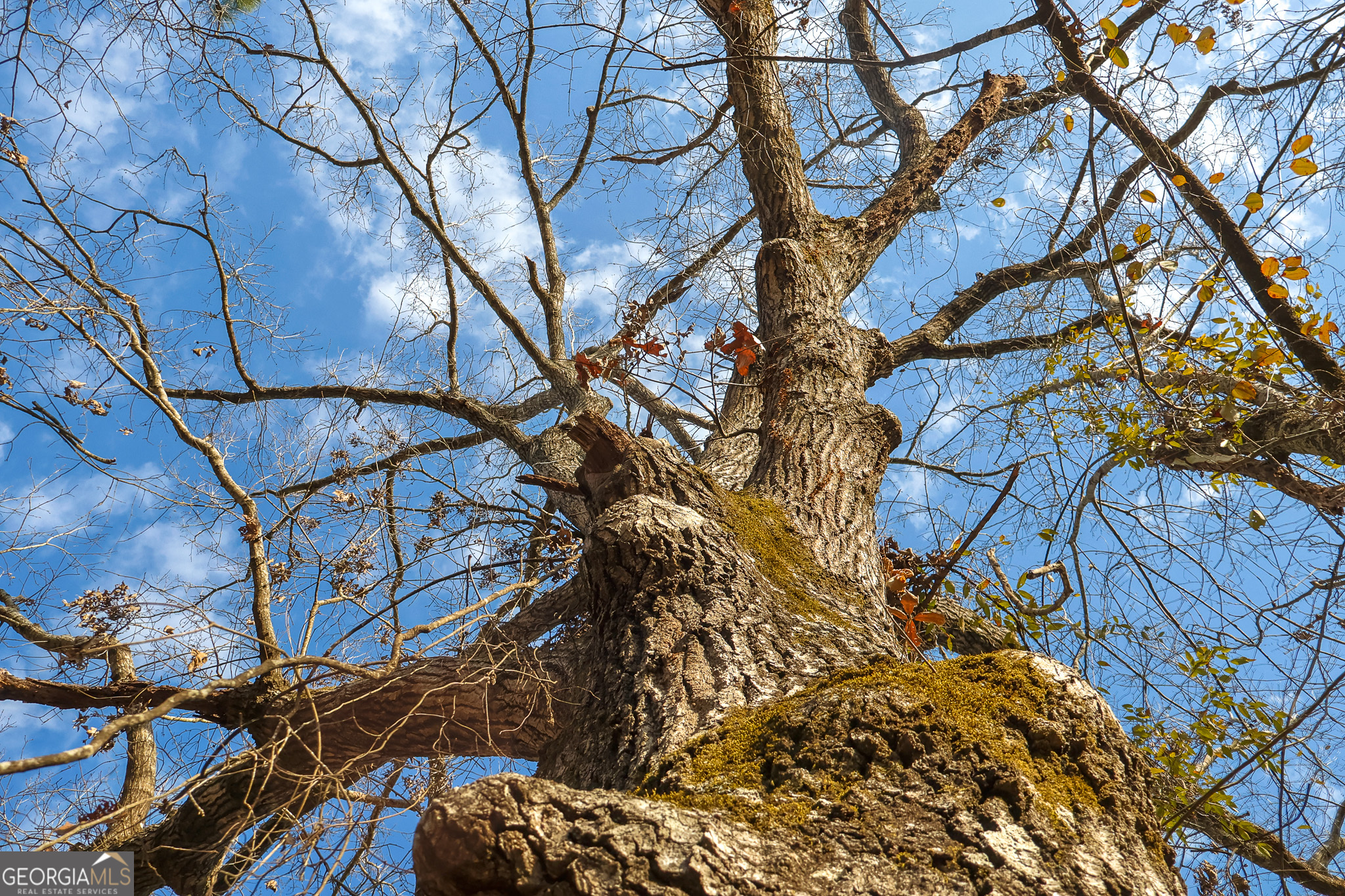 2729 Hadden Pond Road Avera, GA 30803 - Photo 59 of 68
