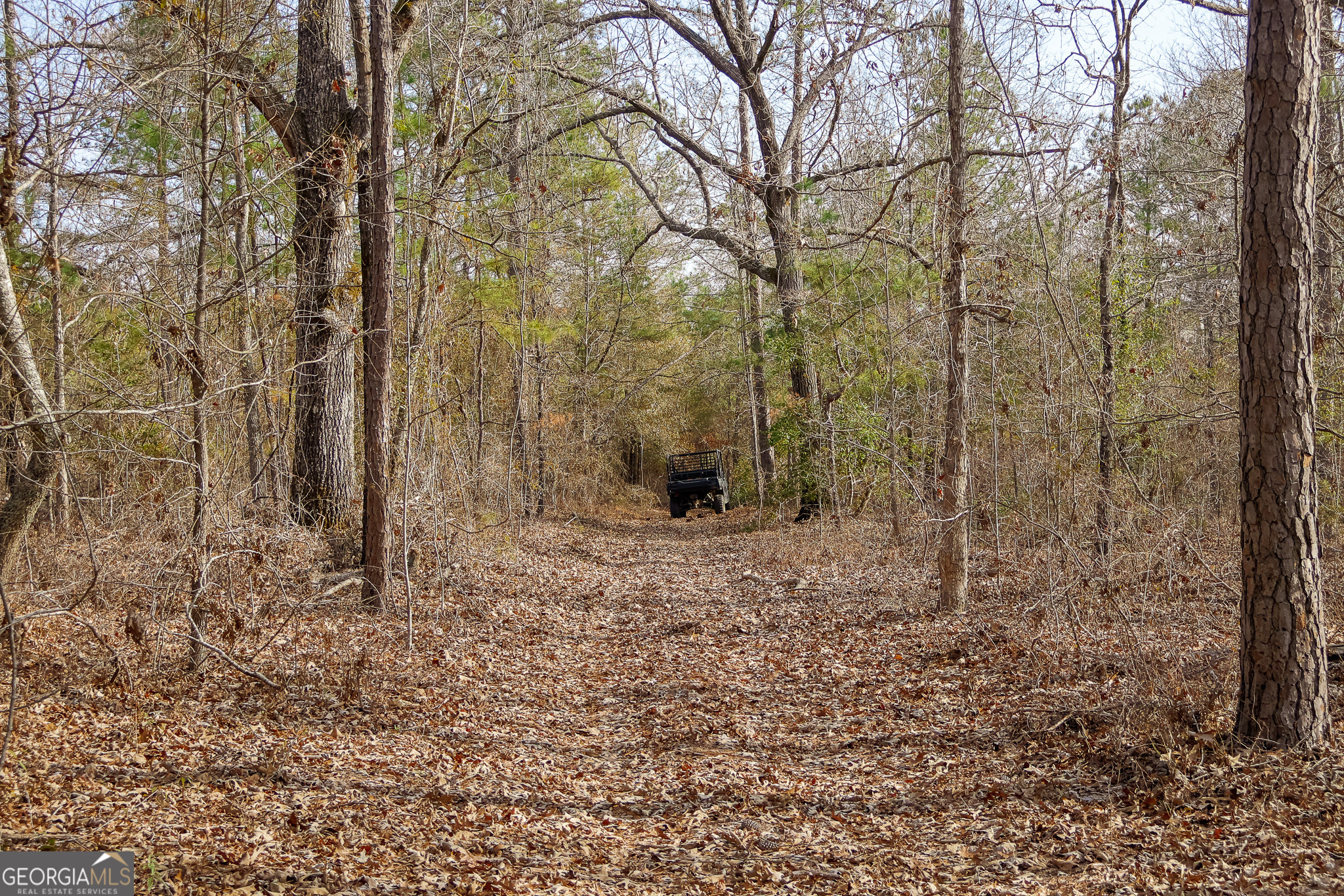 2729 Hadden Pond Road Avera, GA 30803 - Photo 60 of 68