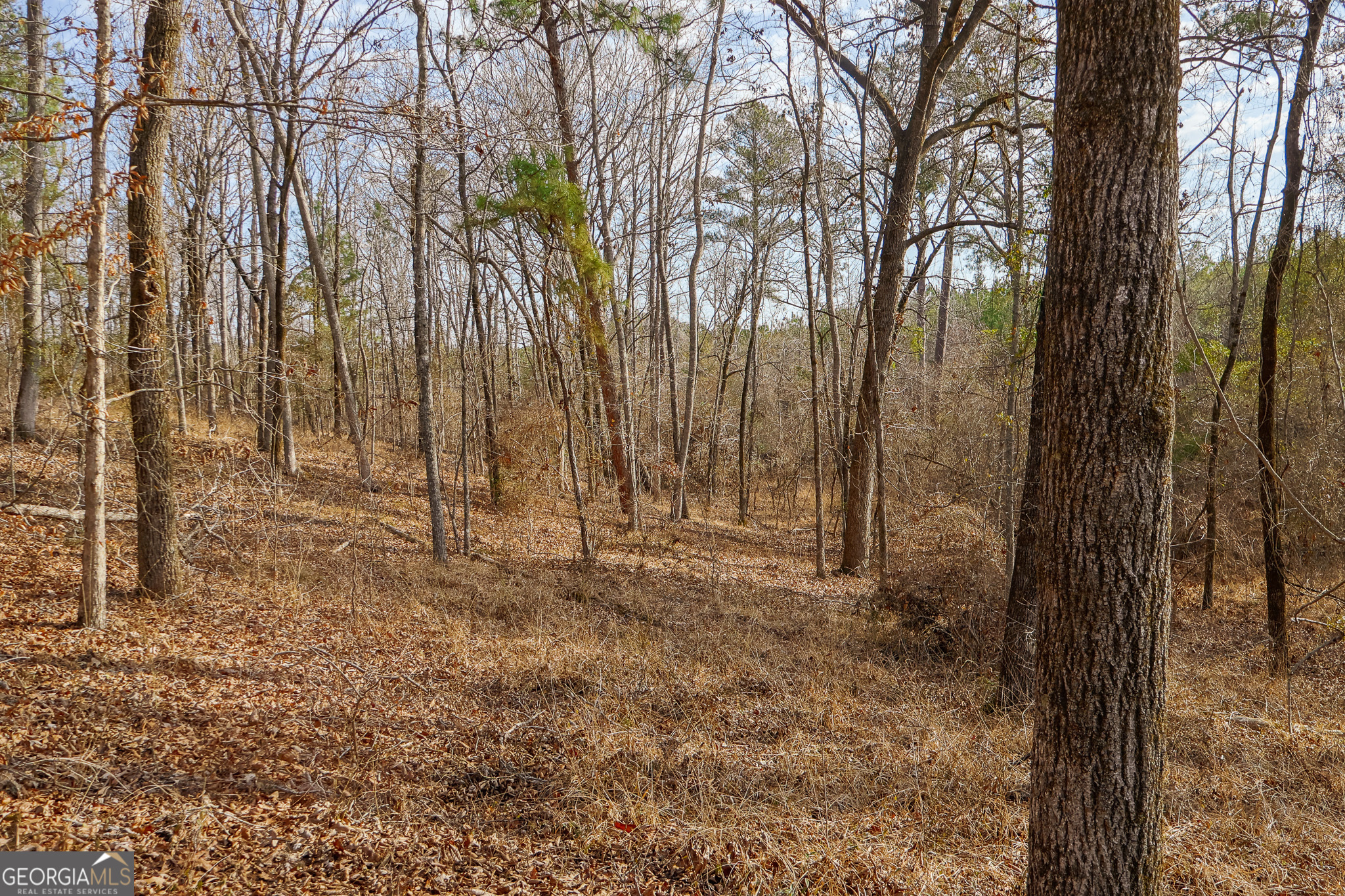 2729 Hadden Pond Road Avera, GA 30803 - Photo 6 of 68