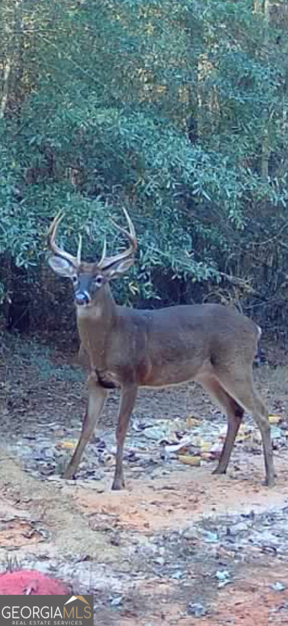 2729 Hadden Pond Road Avera, GA 30803 - Photo 61 of 68