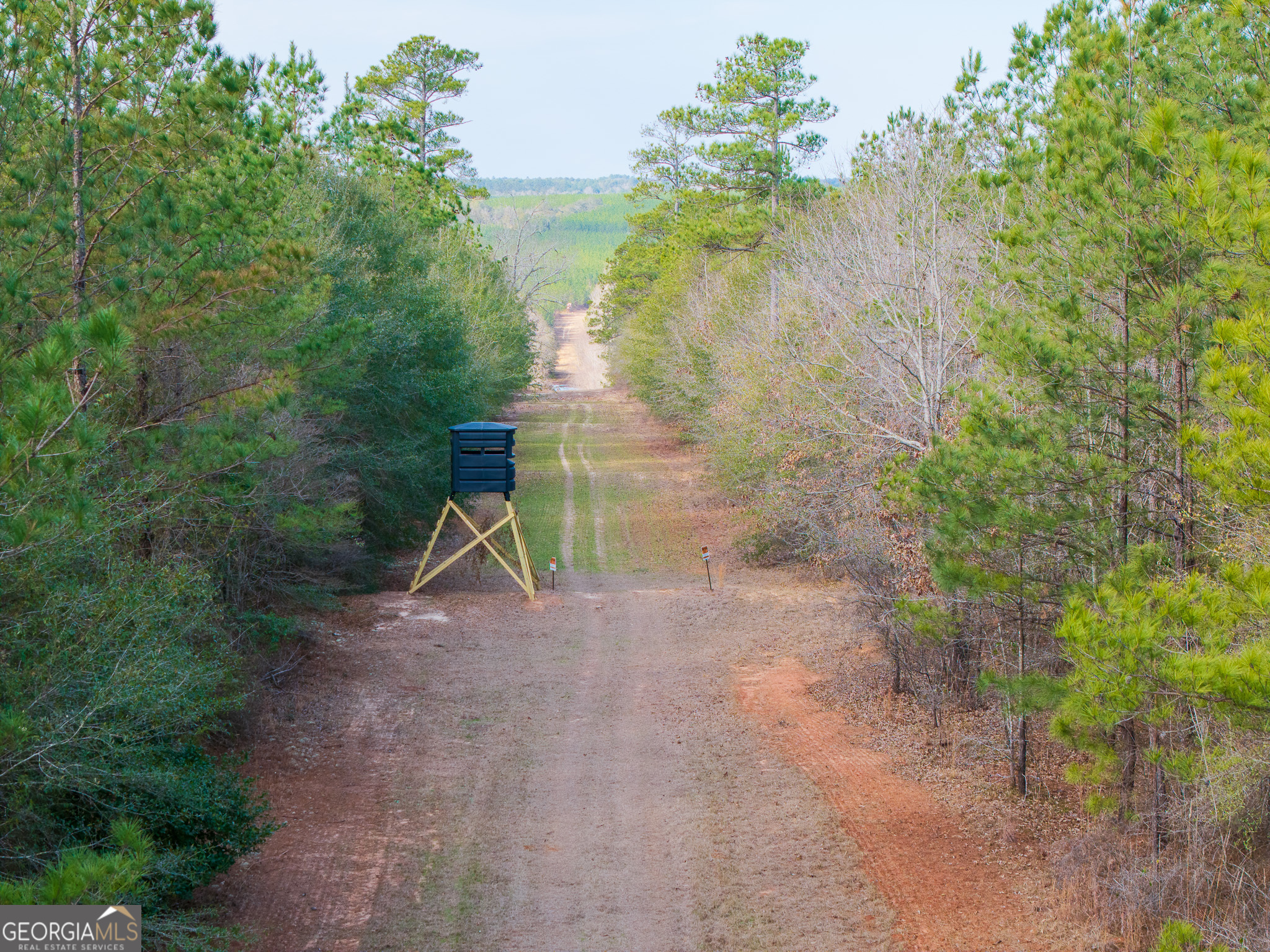 2729 Hadden Pond Road Avera, GA 30803 - Photo 7 of 68
