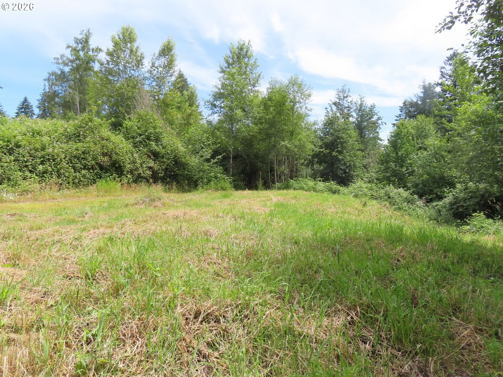Coleman Road Mossyrock, WA 98564 - Photo 12 of 22